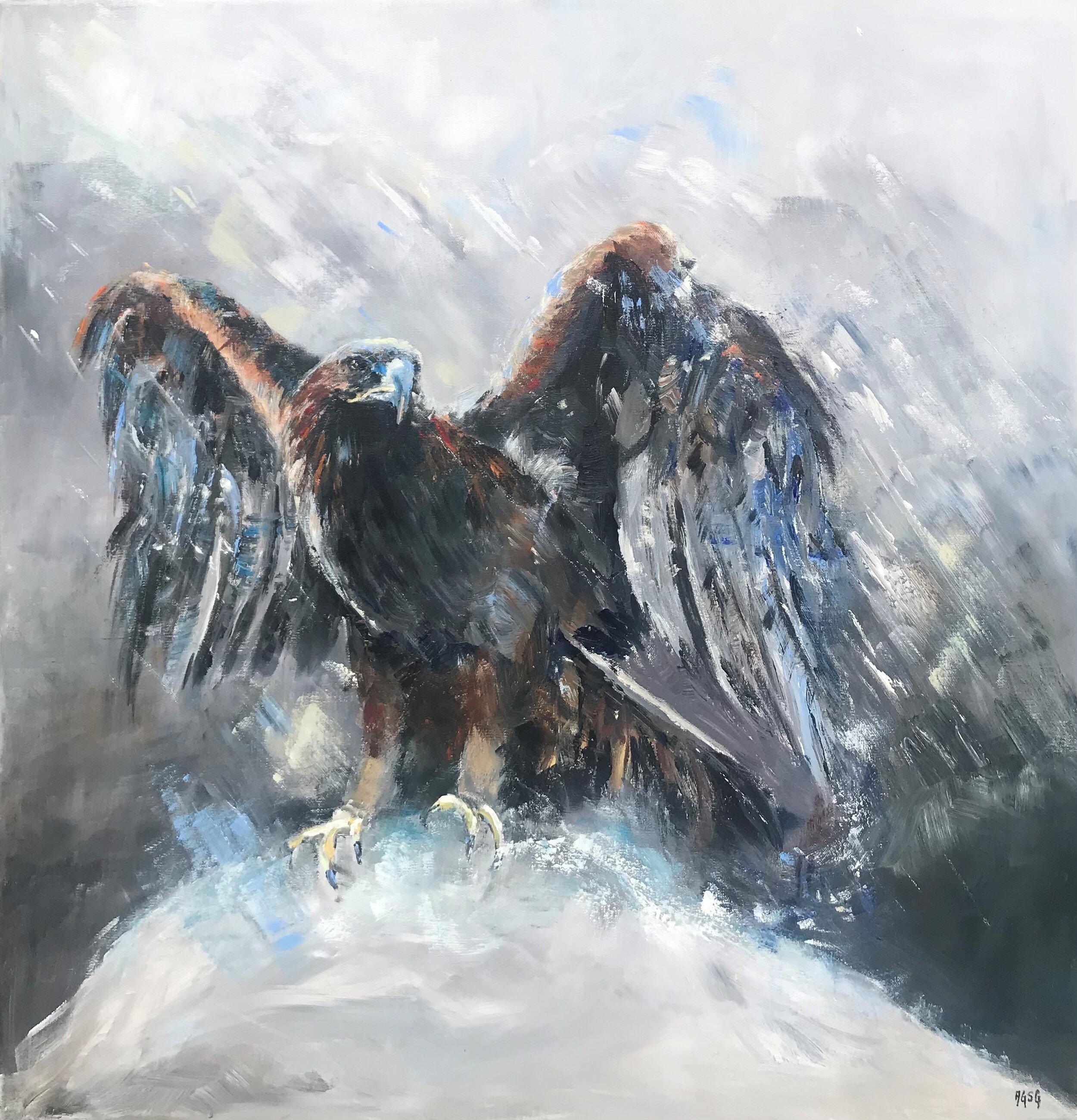 Sea Eagle at Bjørnarfjorden