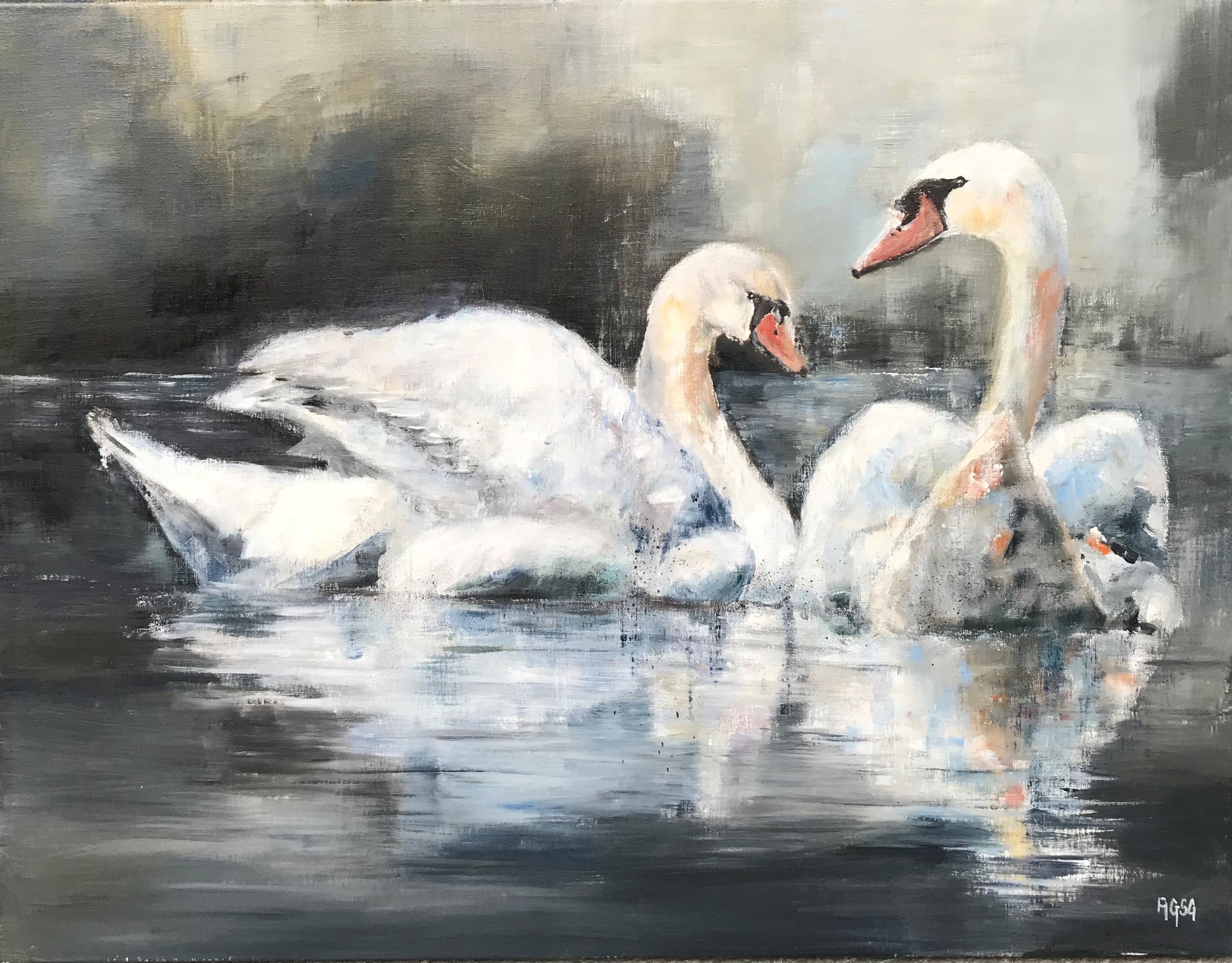 Two White Swans