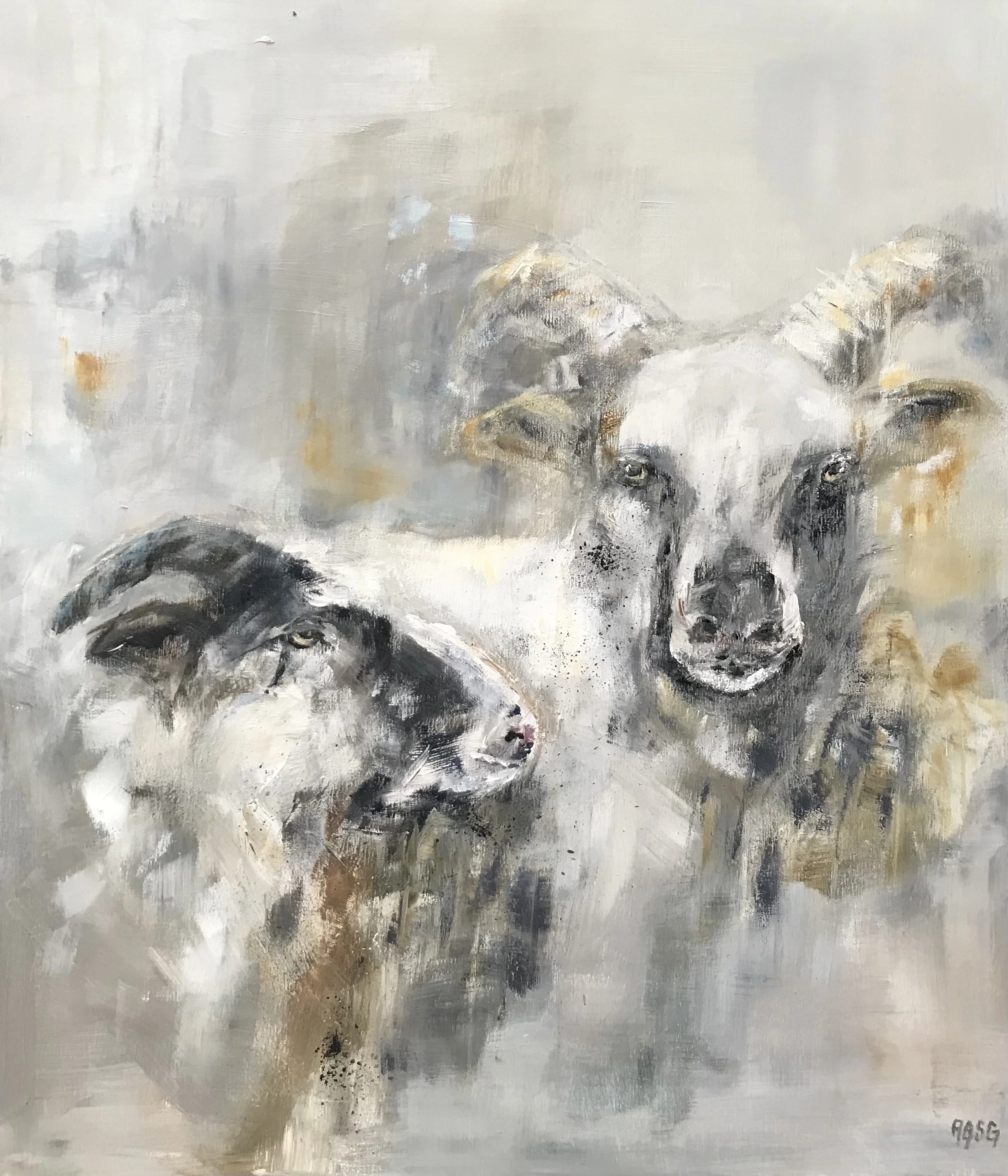 Sheep Couple, acrylic on canvas 60x70.jpg