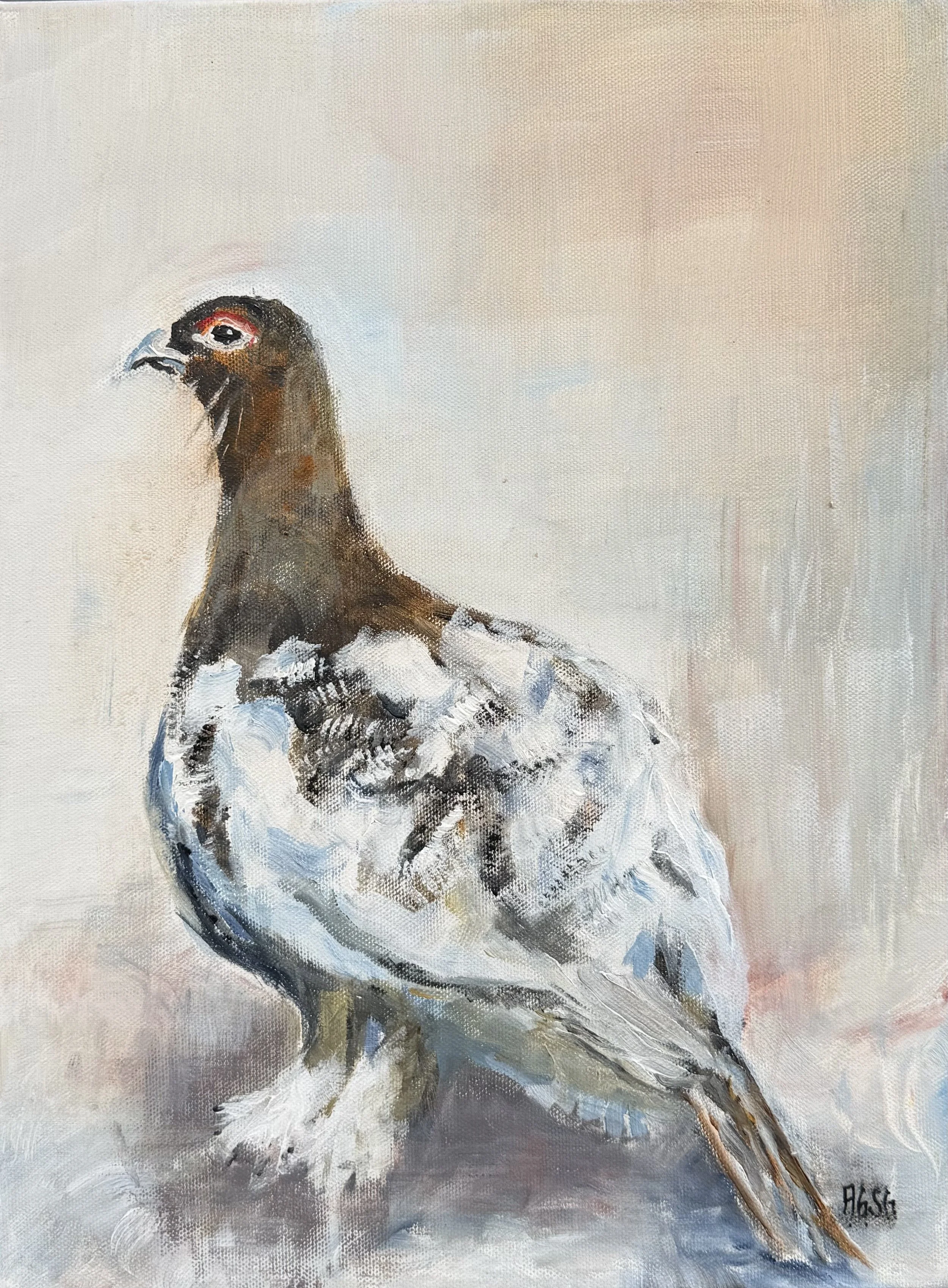 Spring Male Grouse 2, acrylic on canvas 30x40.jpeg