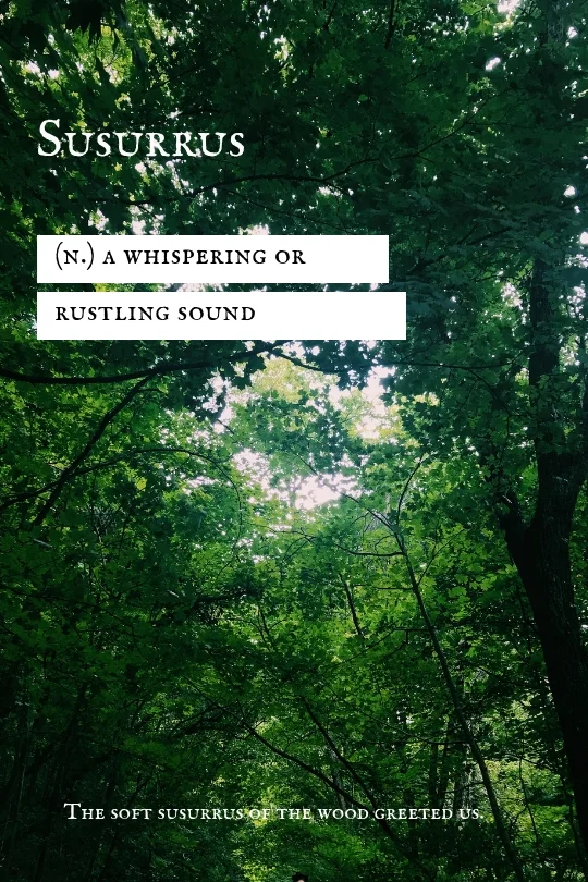 “Word of the Week” post for 9/5/18