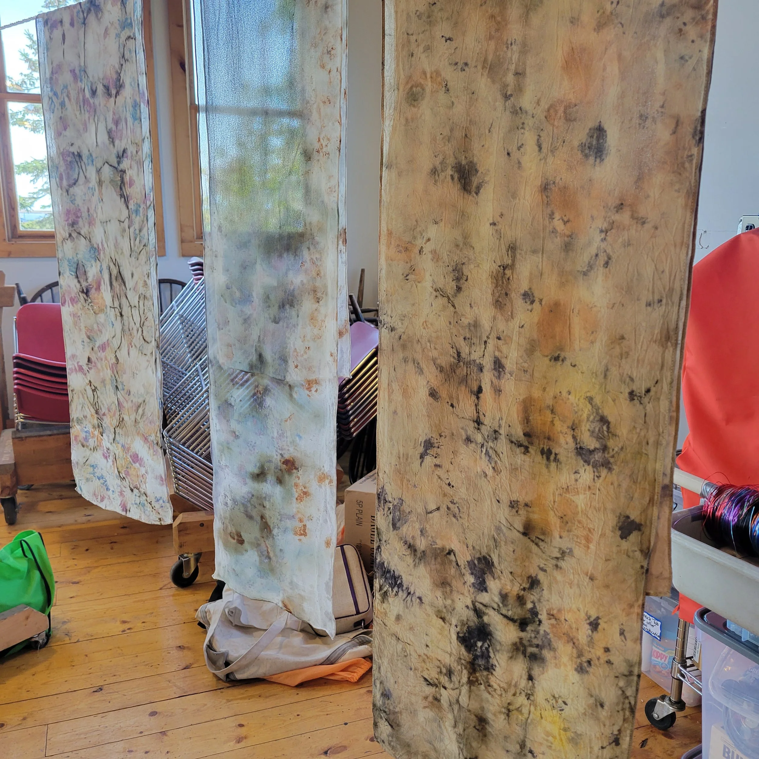 20230813_085733.jpg
