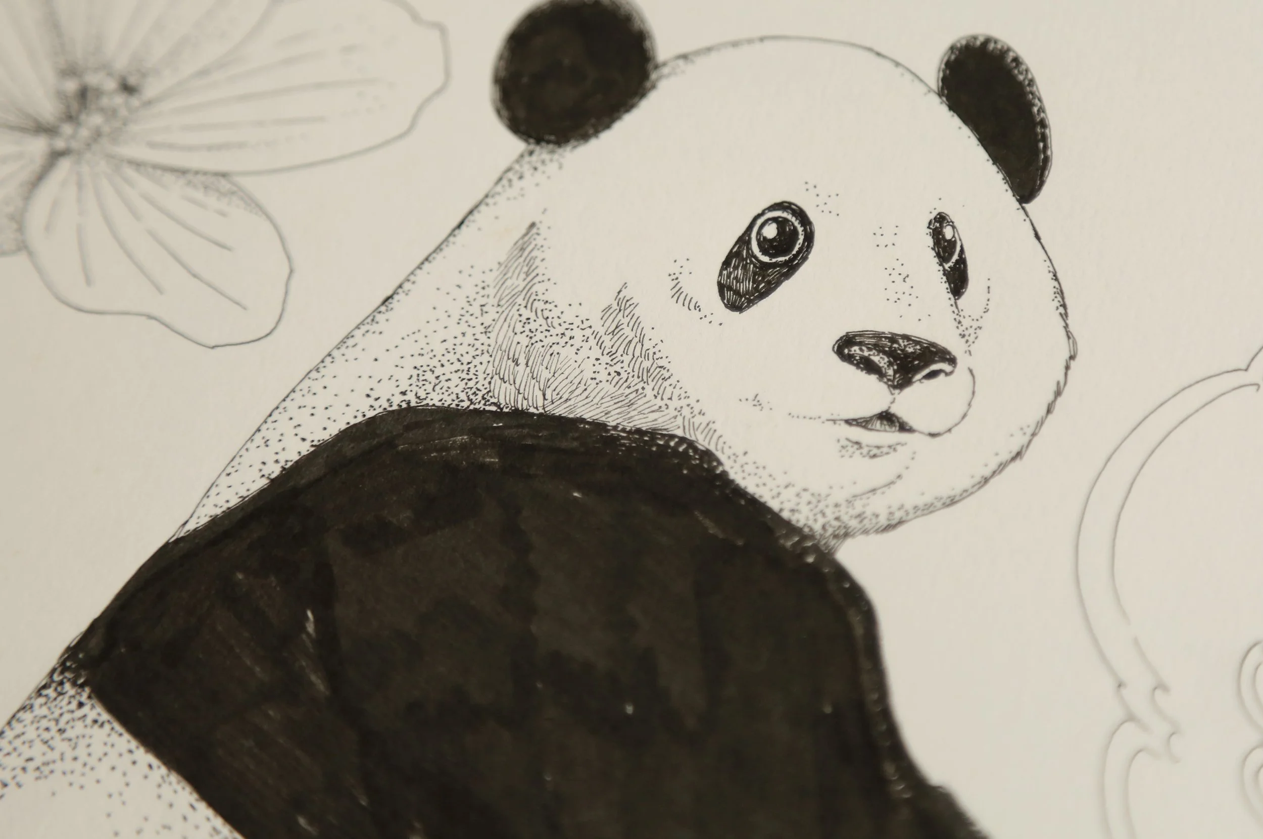 detail-6.jpg