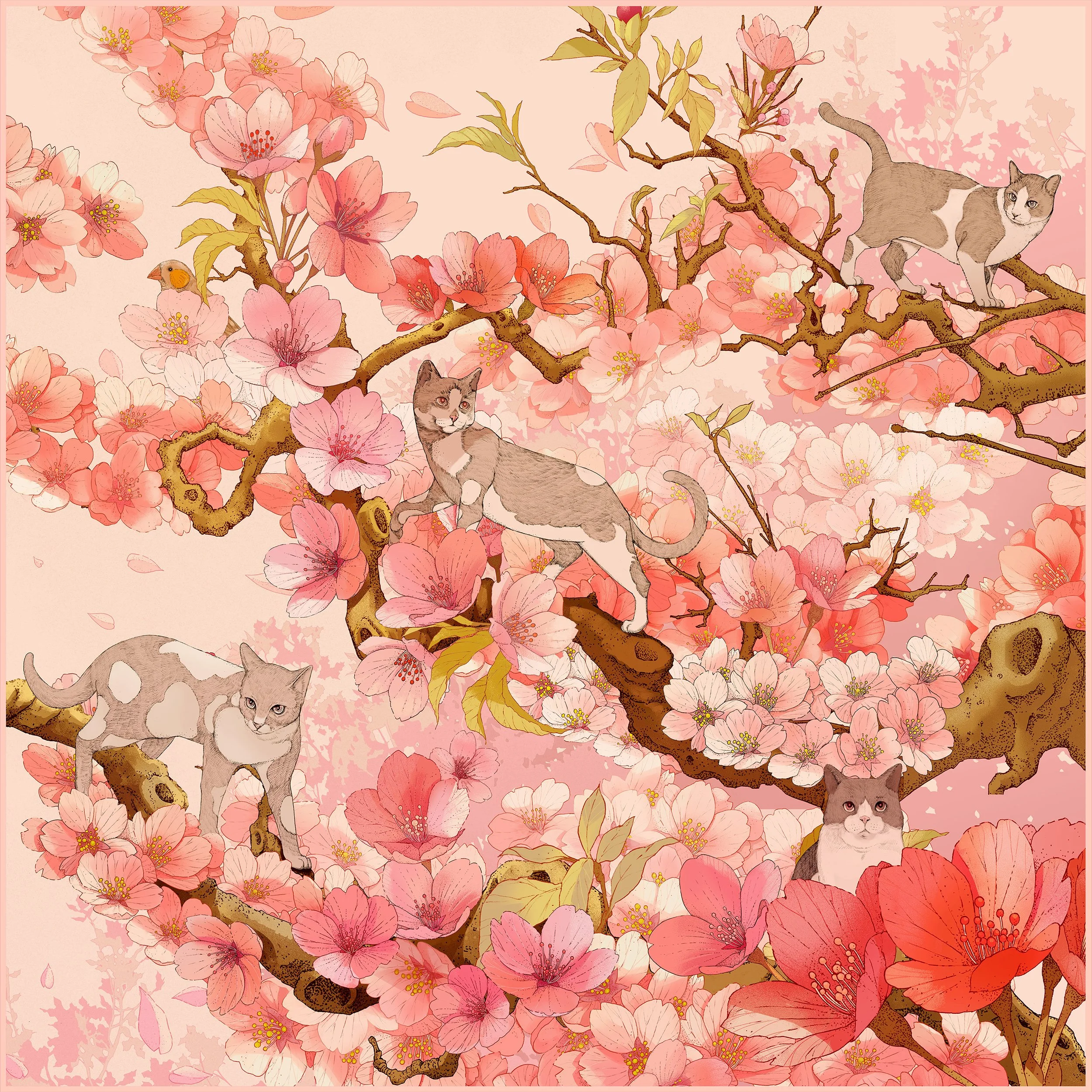 Spring Pink.jpg