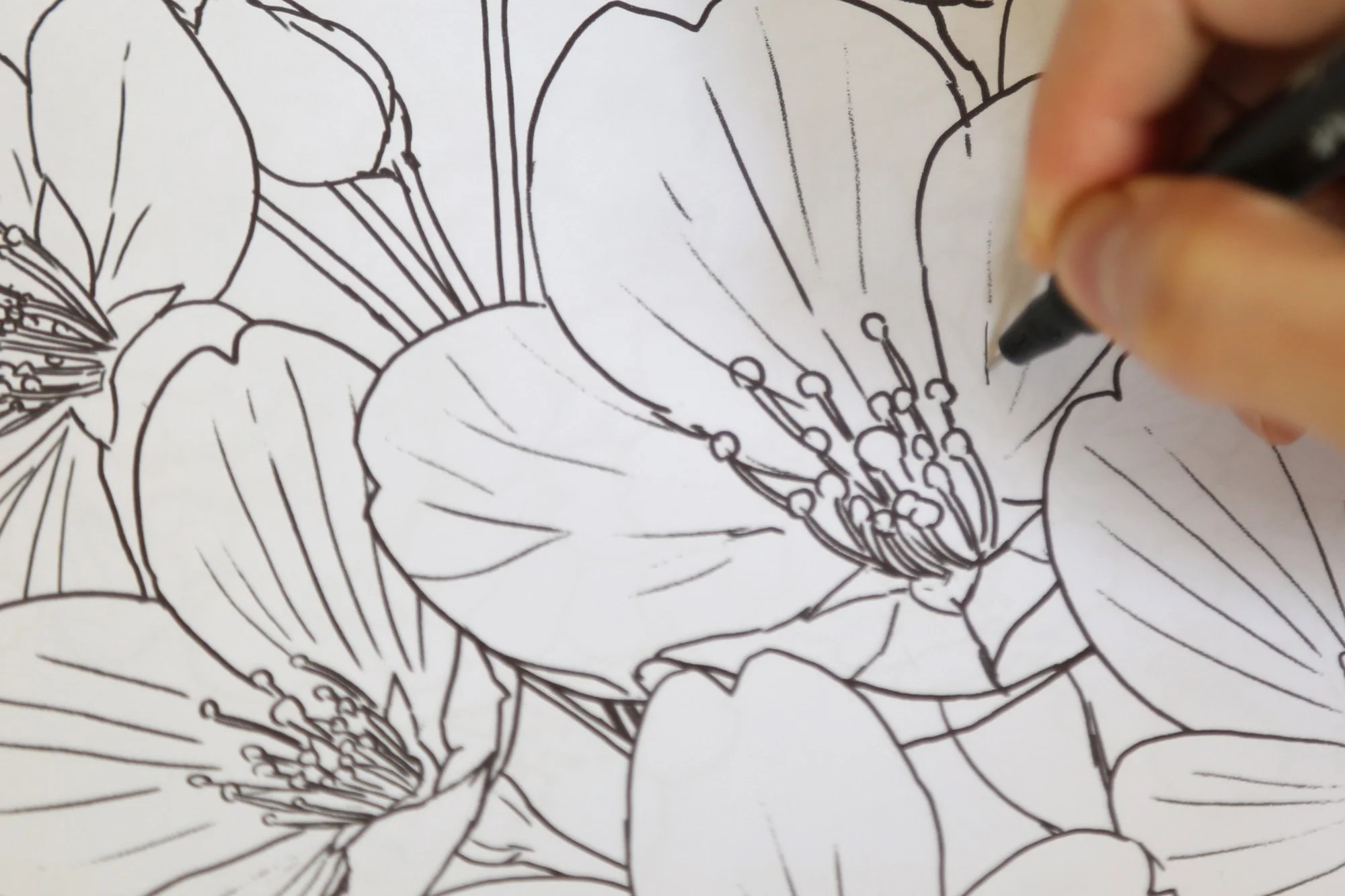 details-6.jpg