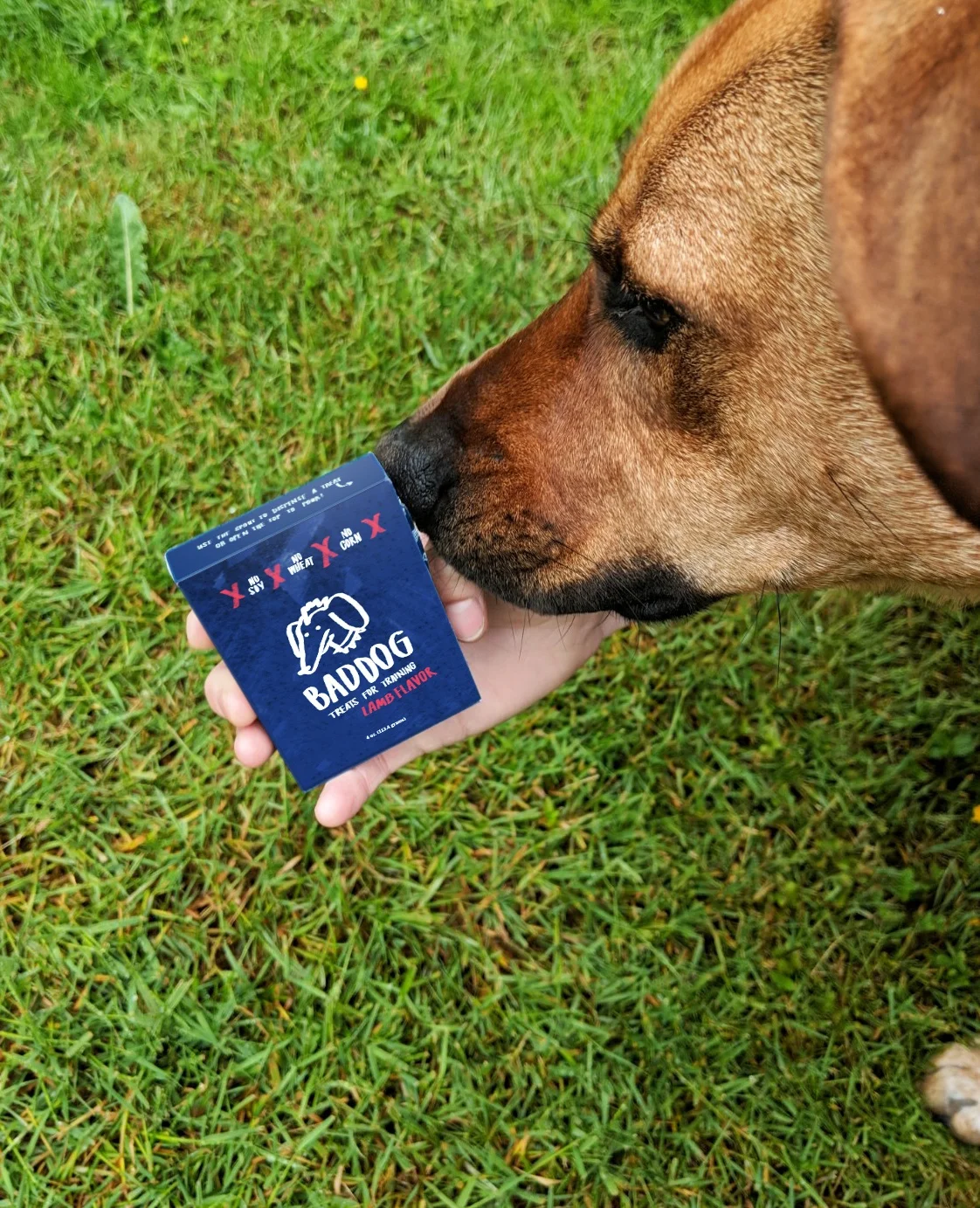 baddogmodelshot2.jpg