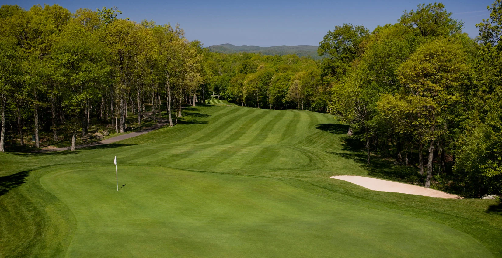devils-knob-wintergreen.jpg