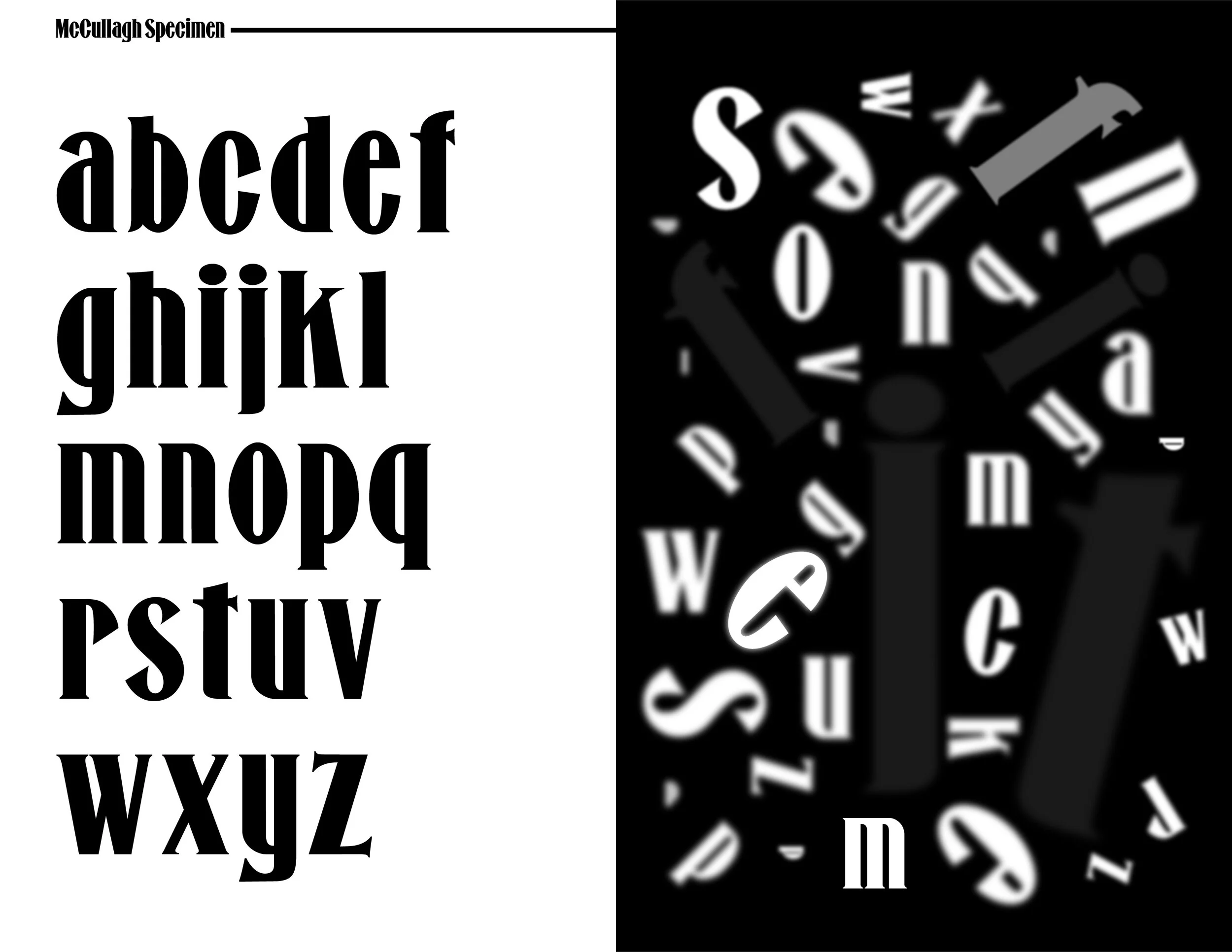Jittagasem_McCullagh Specimen3.jpg