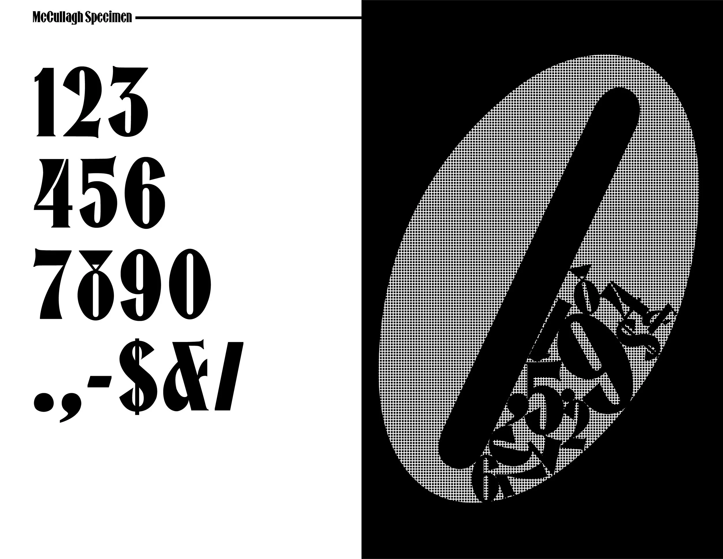 Jittagasem_McCullagh Specimen5.jpg