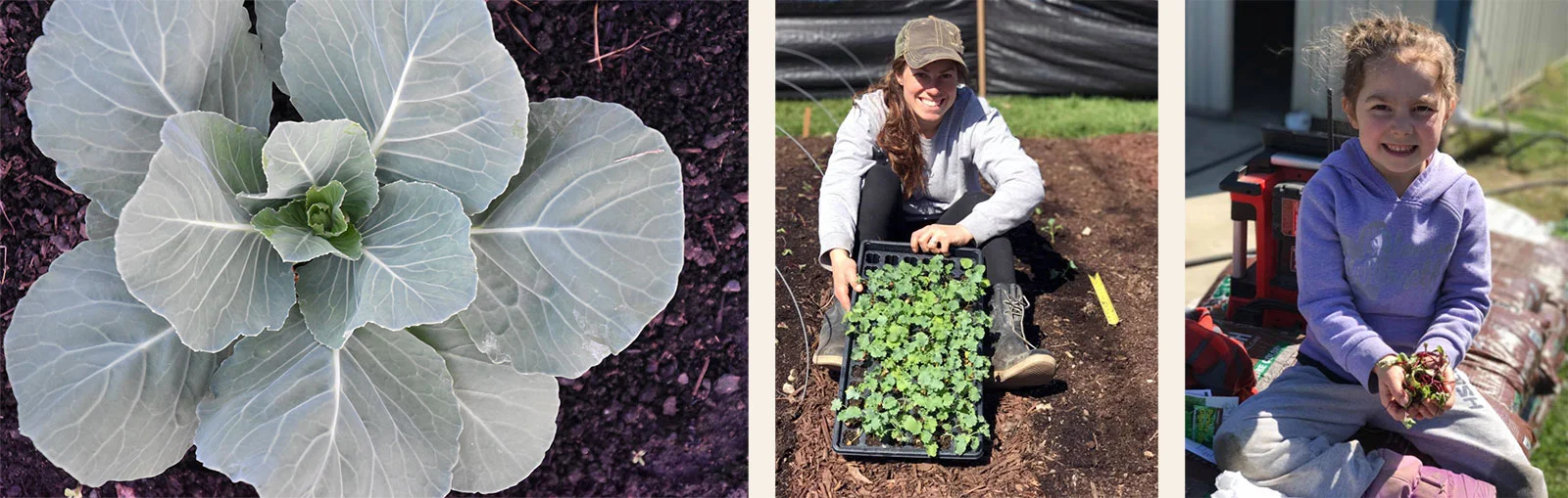 crown-point-organic-farm.jpg