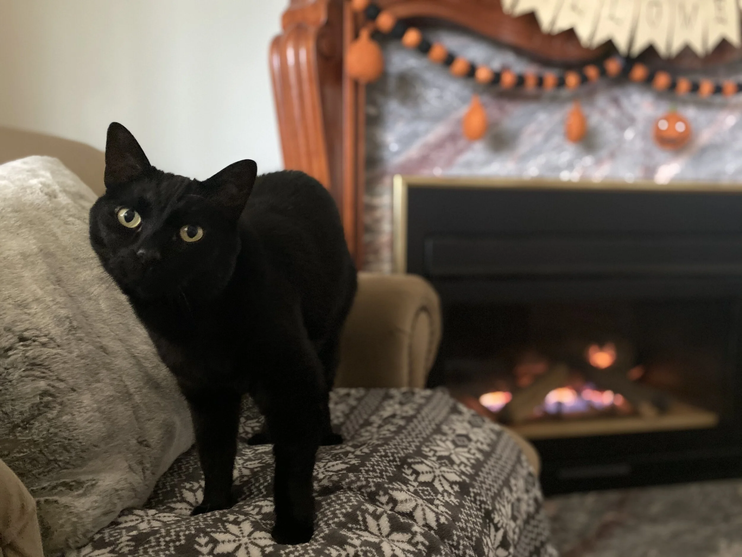 IMG_3209.jpeg