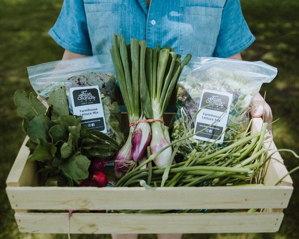 fivehands+farm+CSA+box.jpg