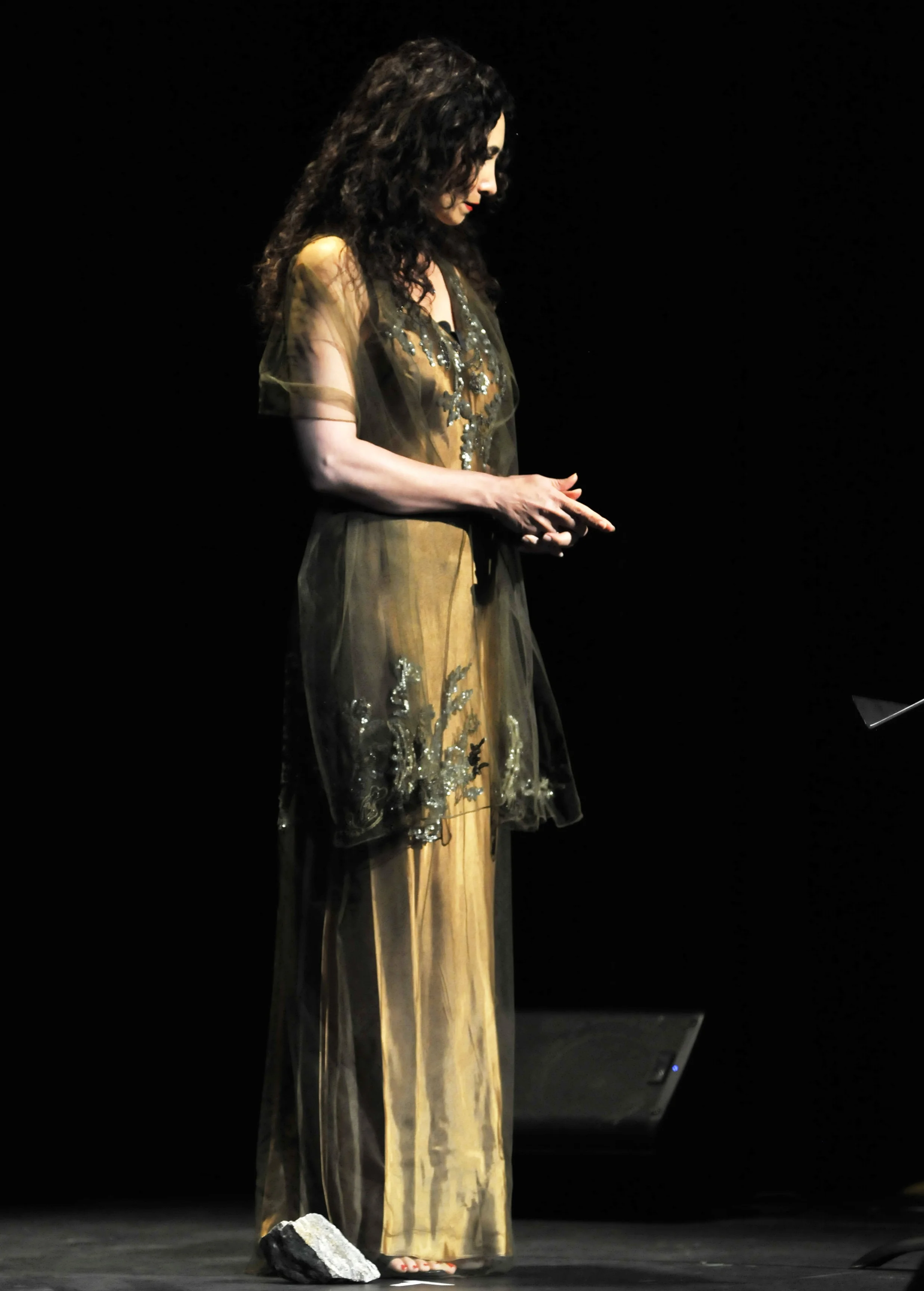 Sholeh Wolpe 4.jpg
