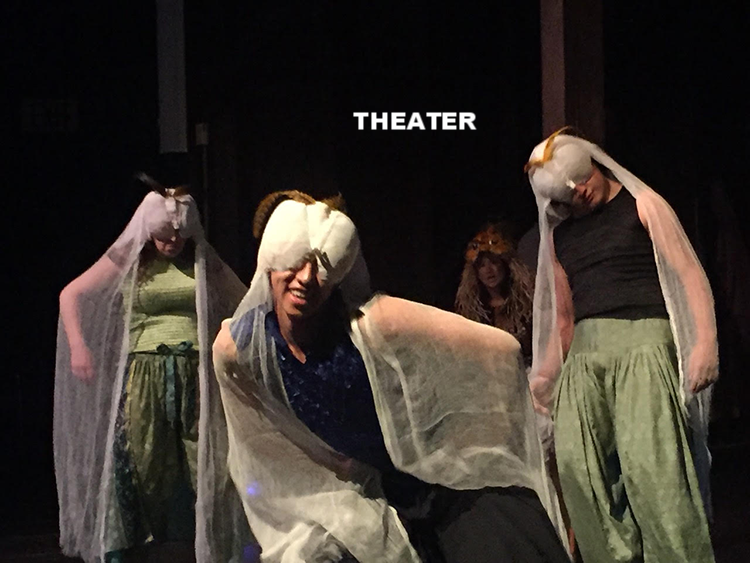 theatre-SHOLEH WOLPE.png