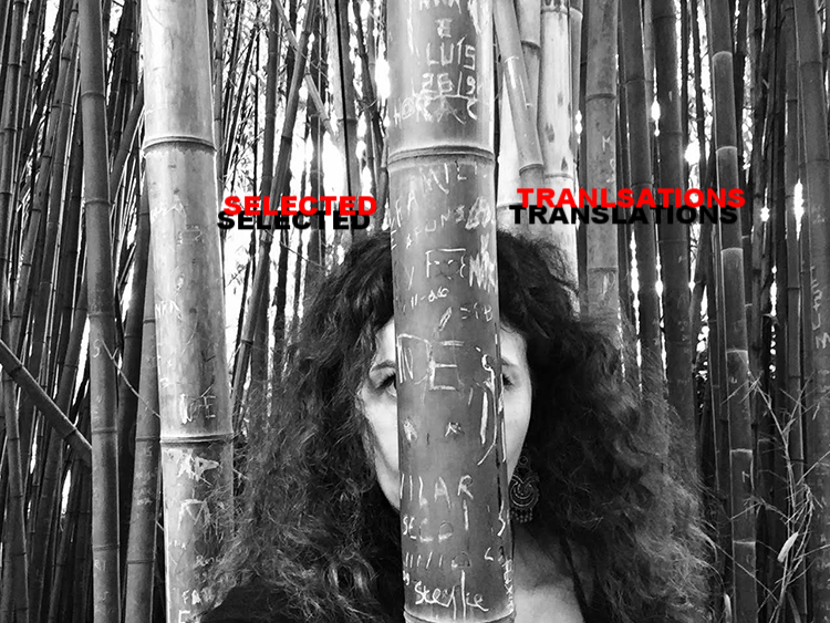 SELECTED TRANSLATIOINS_sholeh wolpe.png
