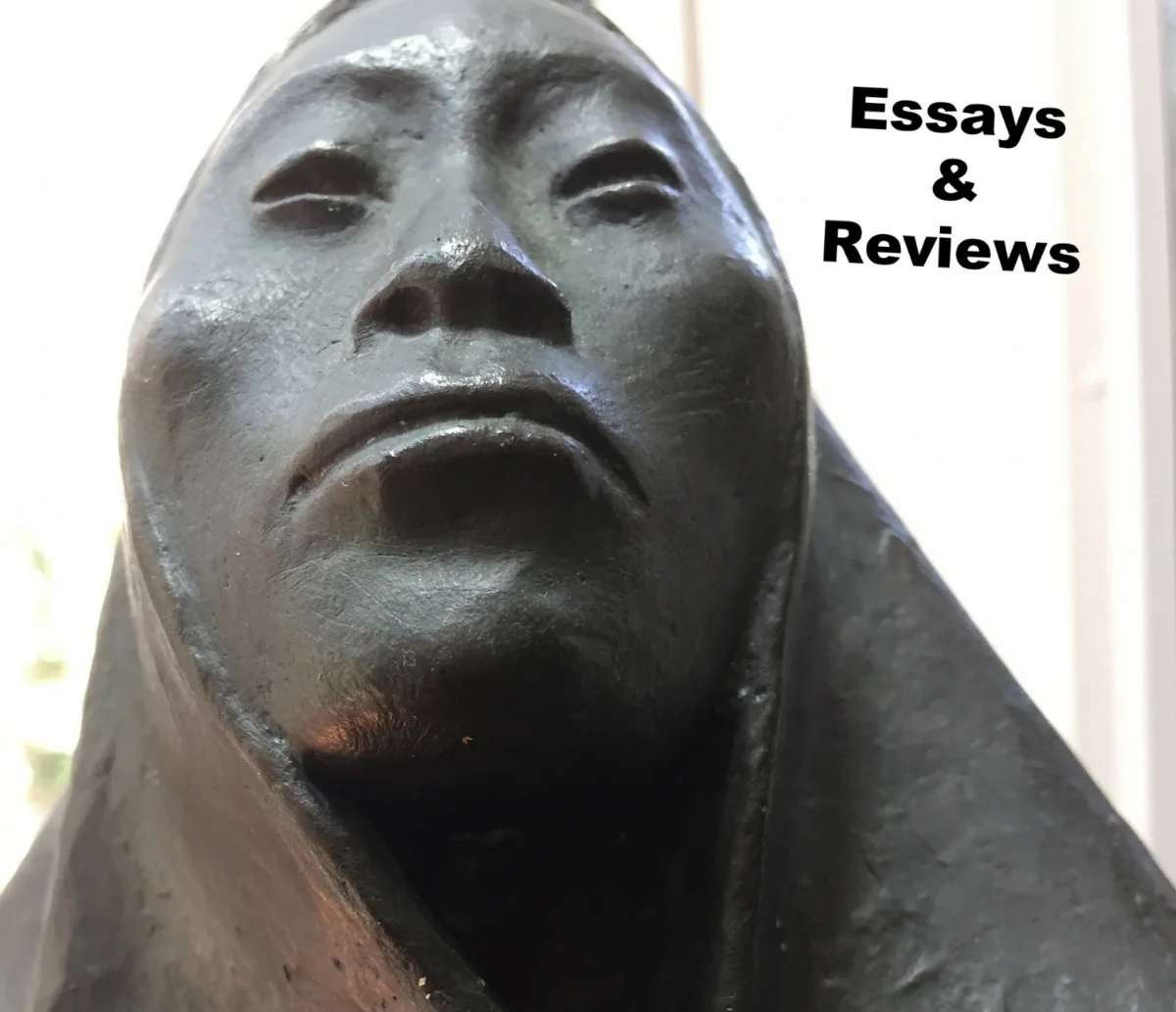 essays and reviews_ Sholeh wolpe.jpg