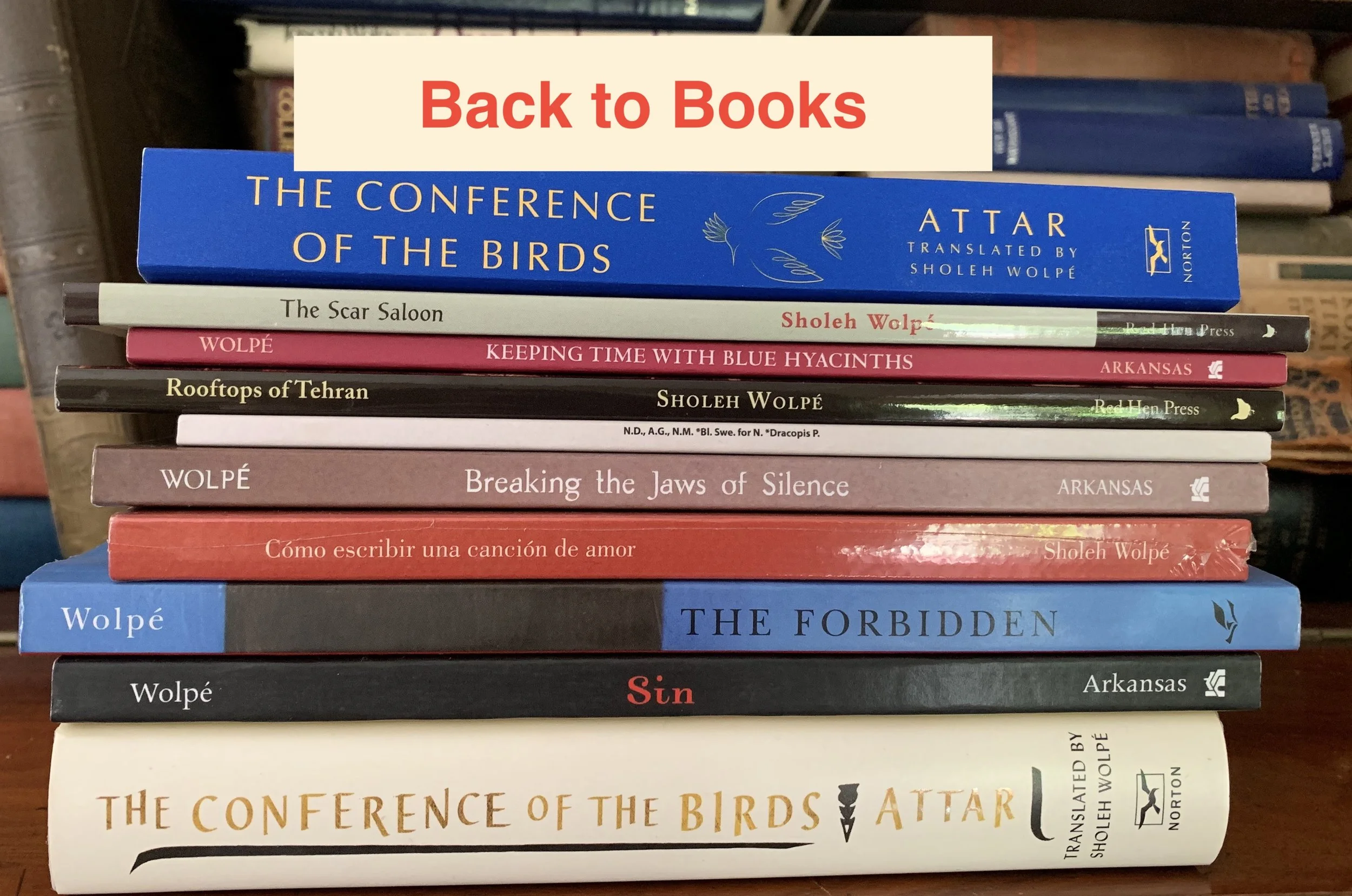 literature from the modern middle east