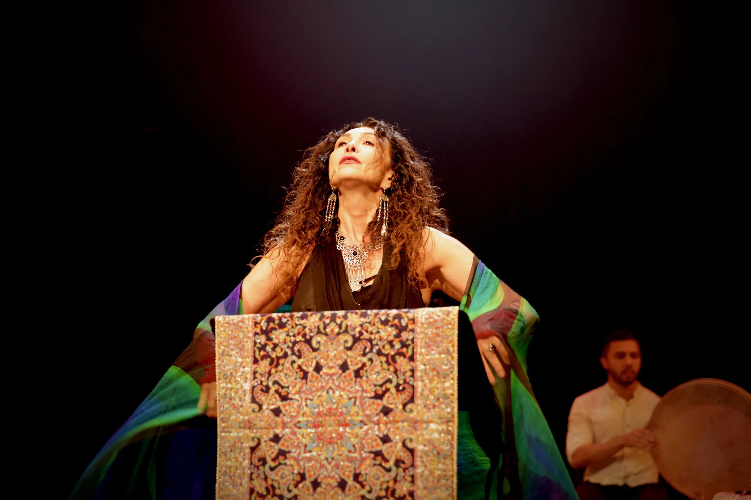 Sholeh Wolpe 6.jpg