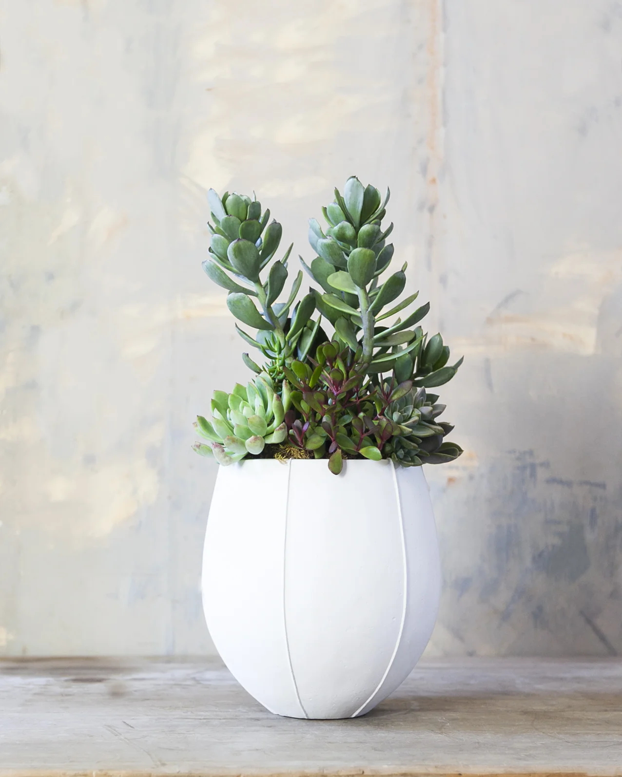 succulent_arrangement_medium_3.jpg
