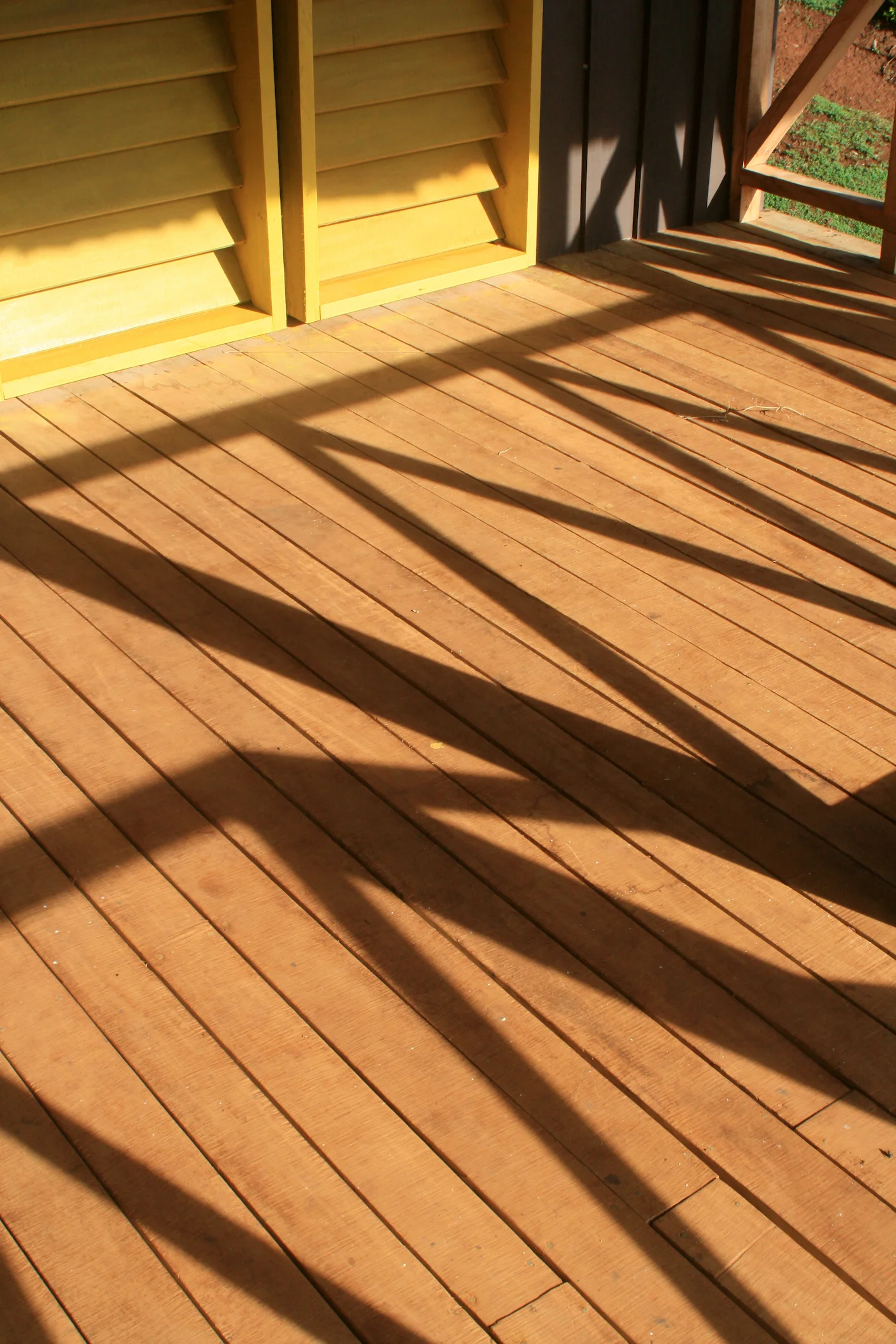 EAA_N20_by richard briggs.JPG