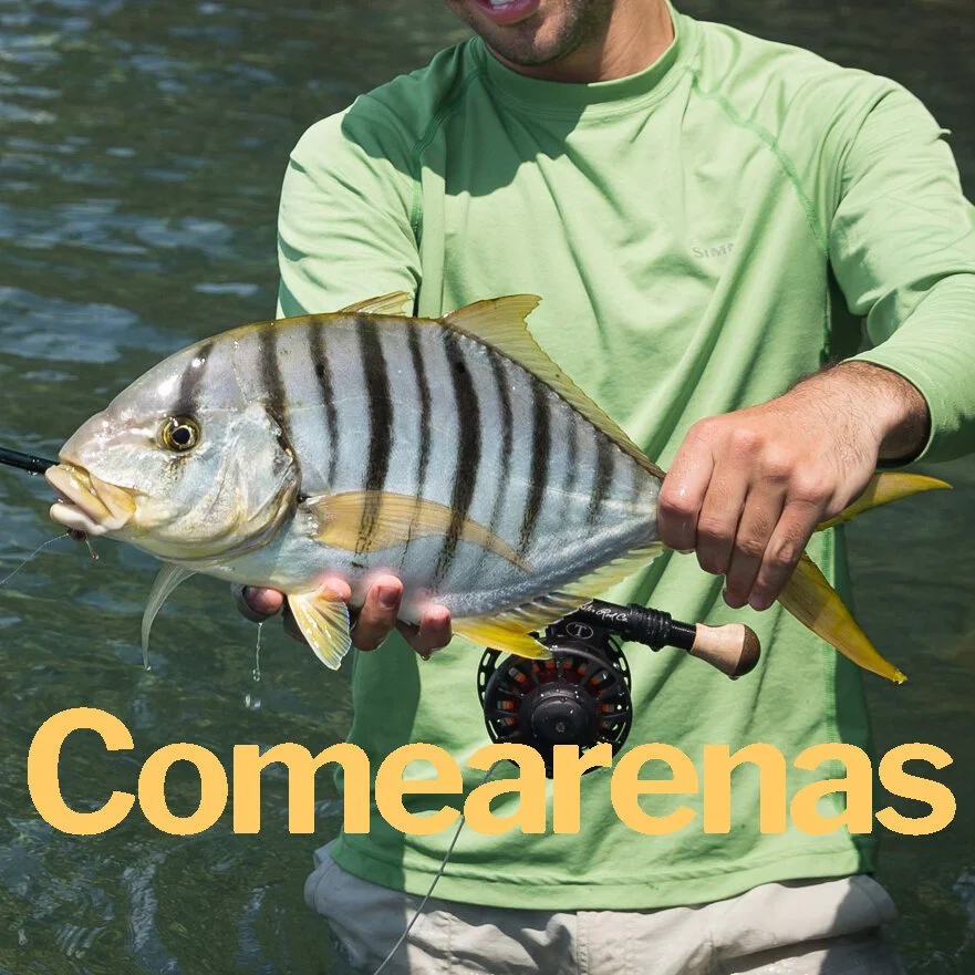Comearena.jpg