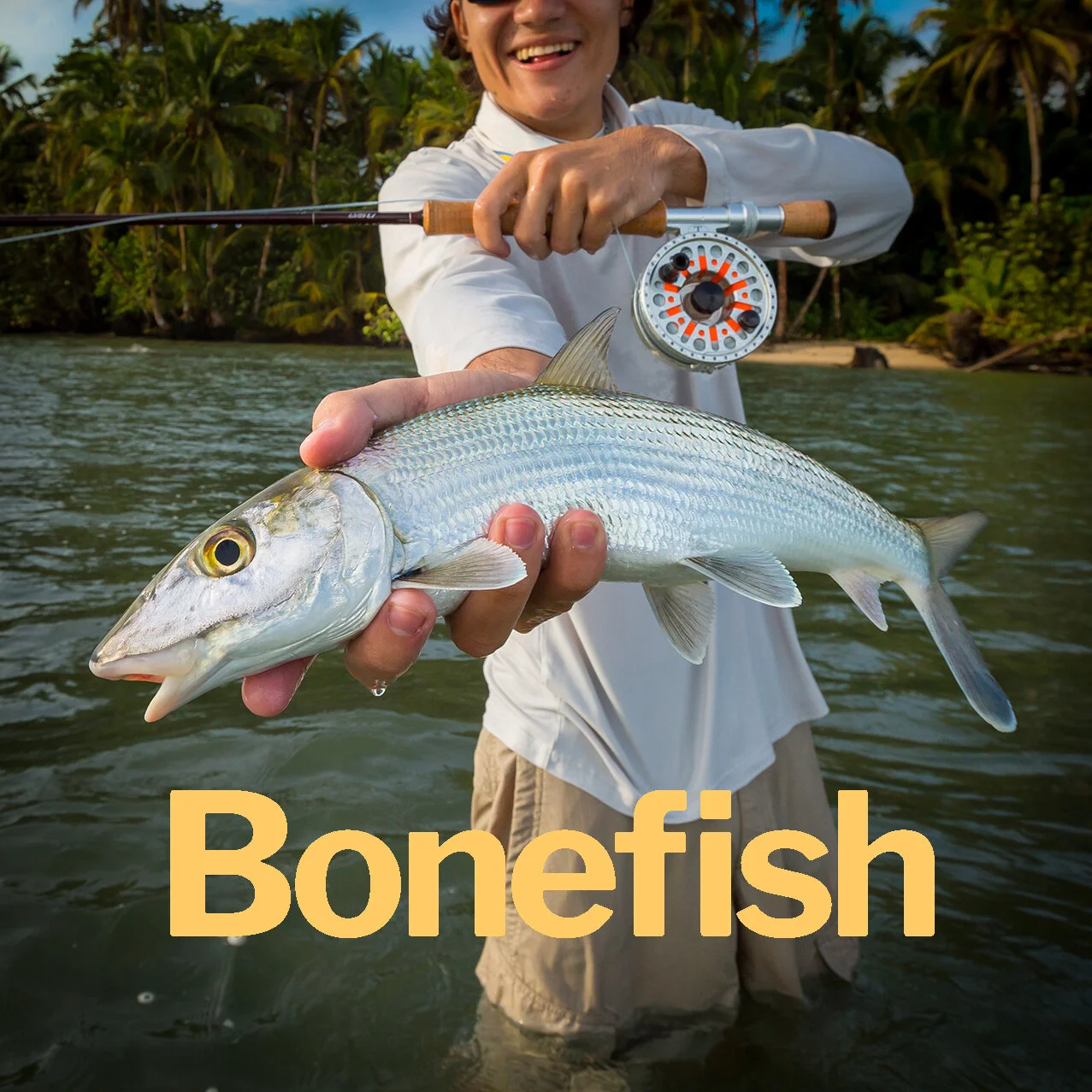 Bonefish.jpg