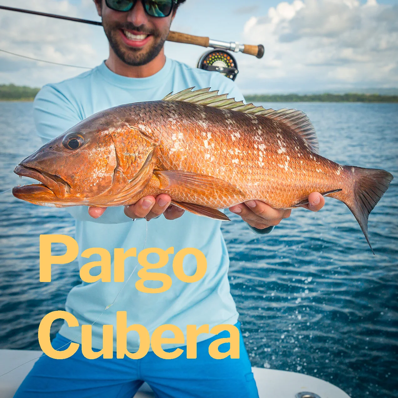Pargo Cubera.jpg