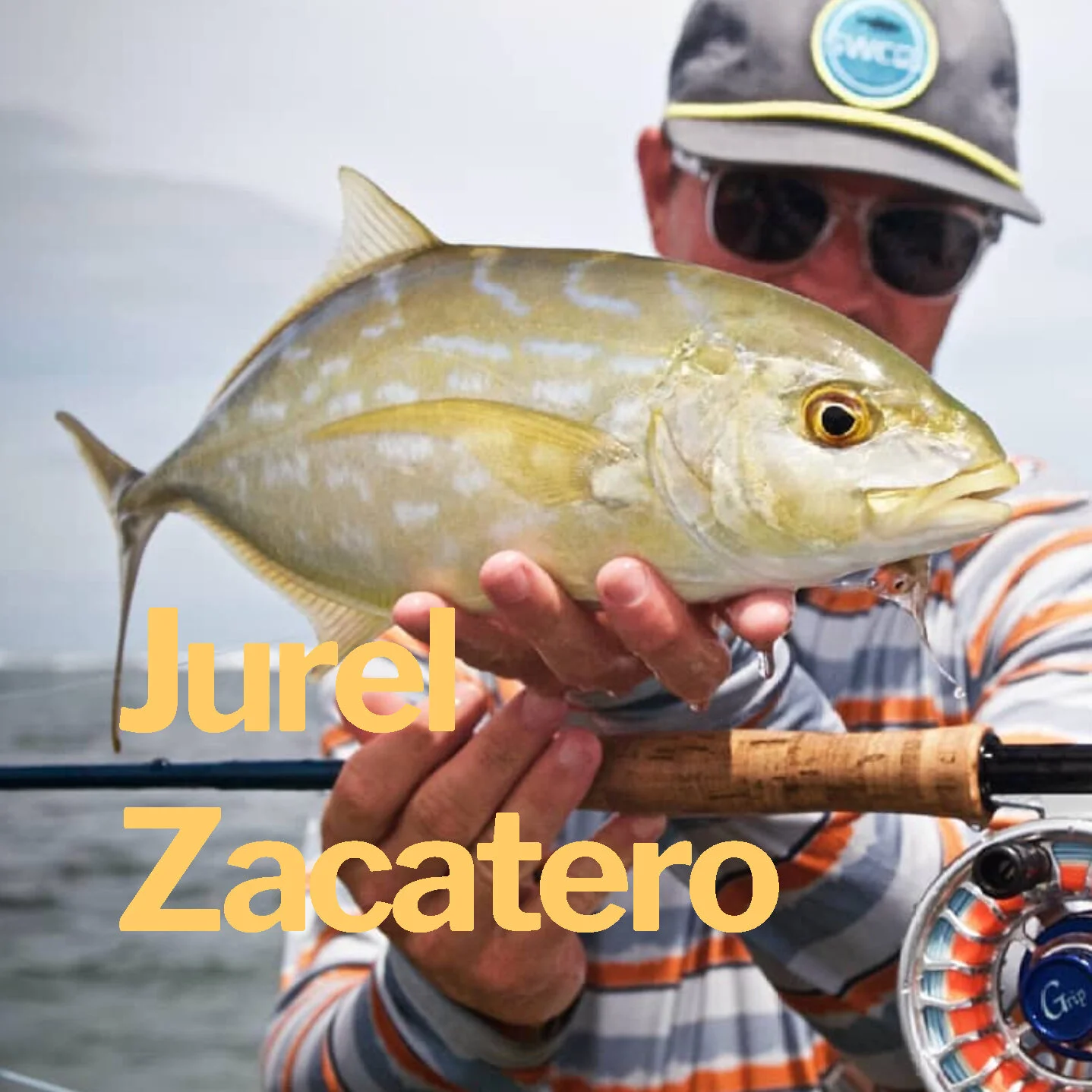 Jurel Zacatero.jpg