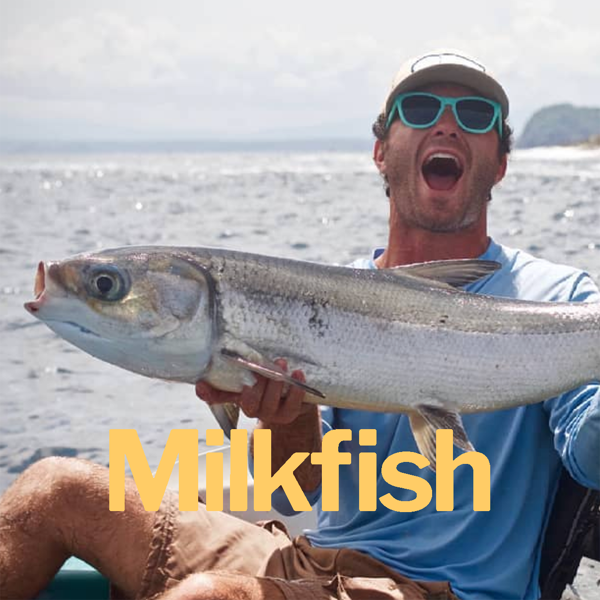 Milkfish.png