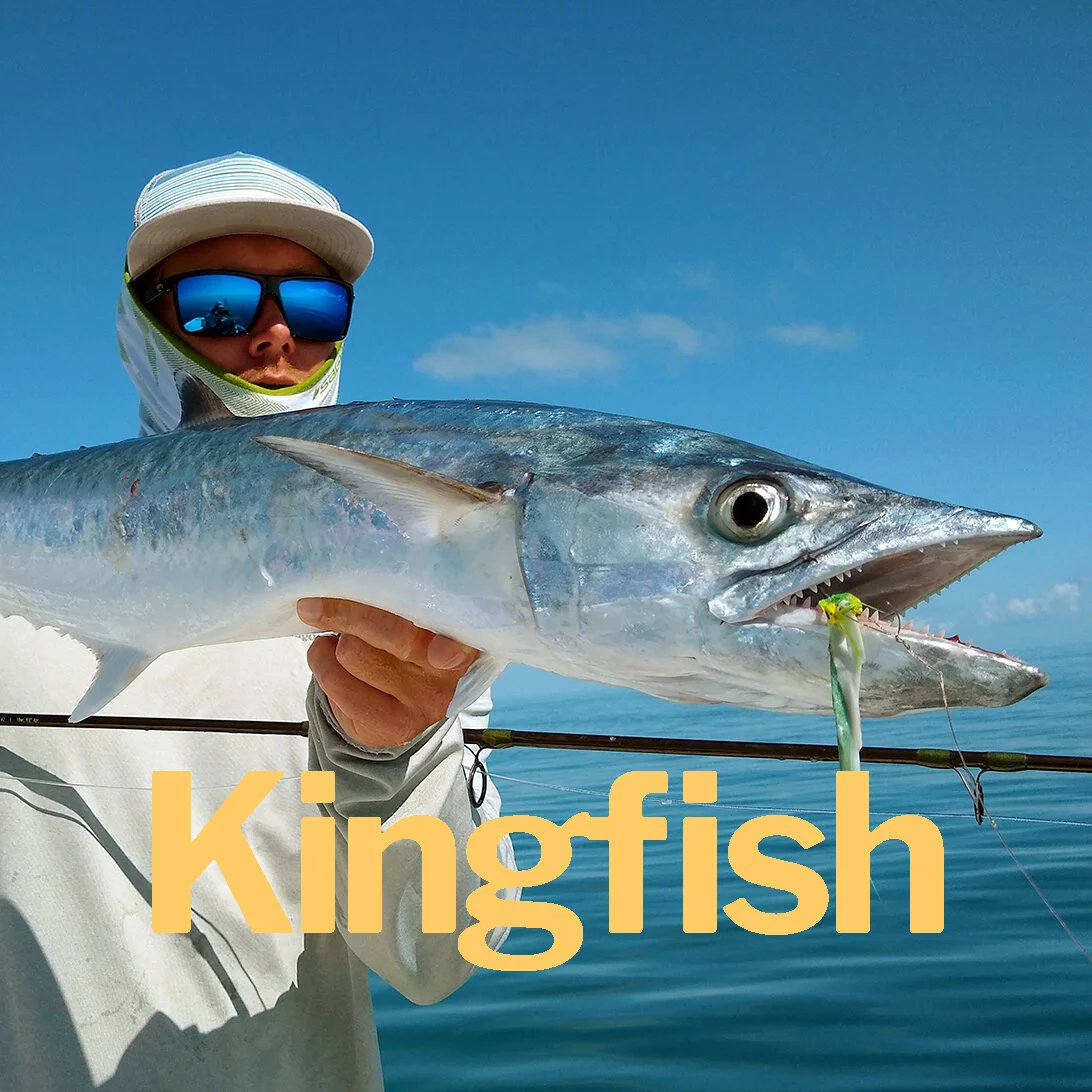 Kingfish_.jpg