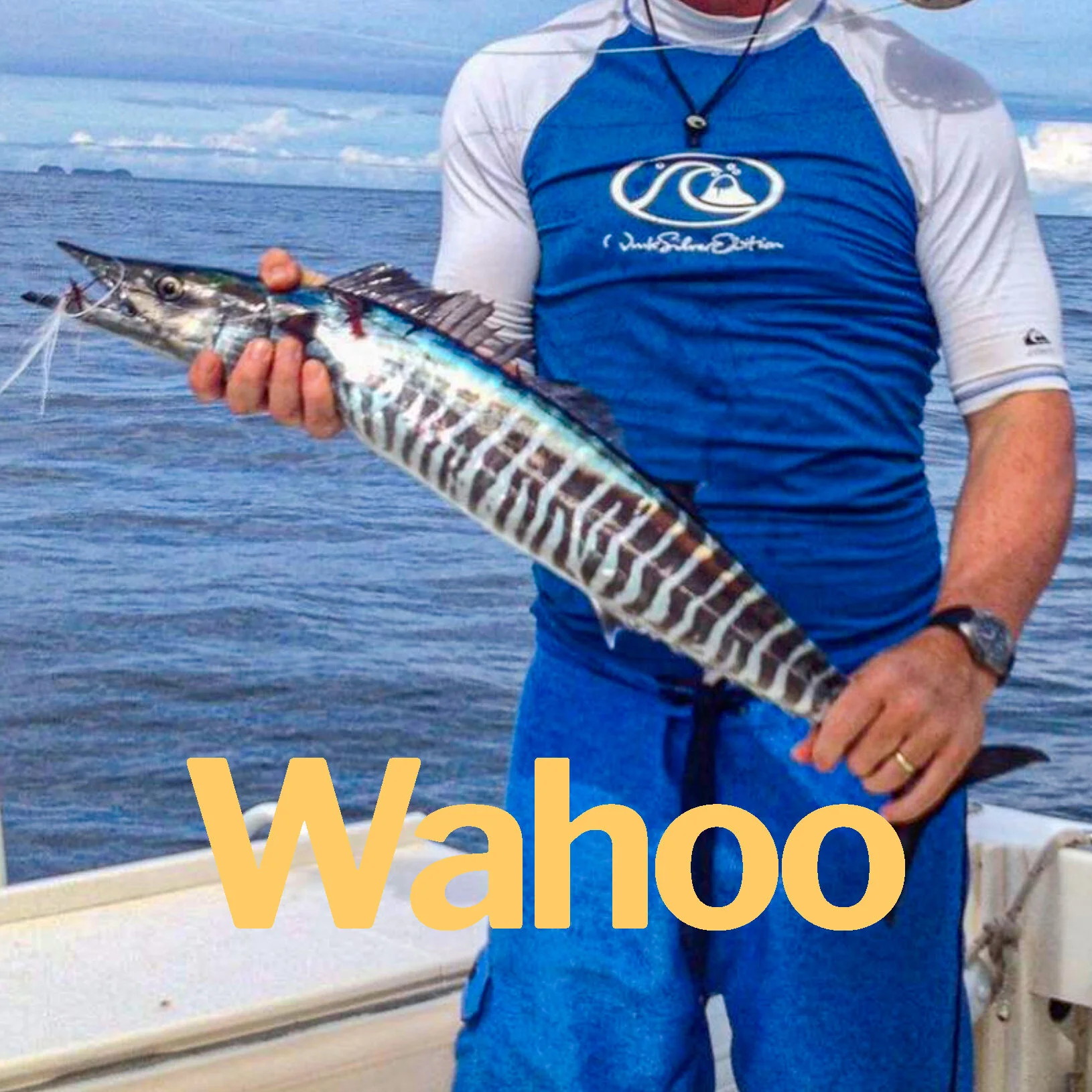 Wahoo.jpg