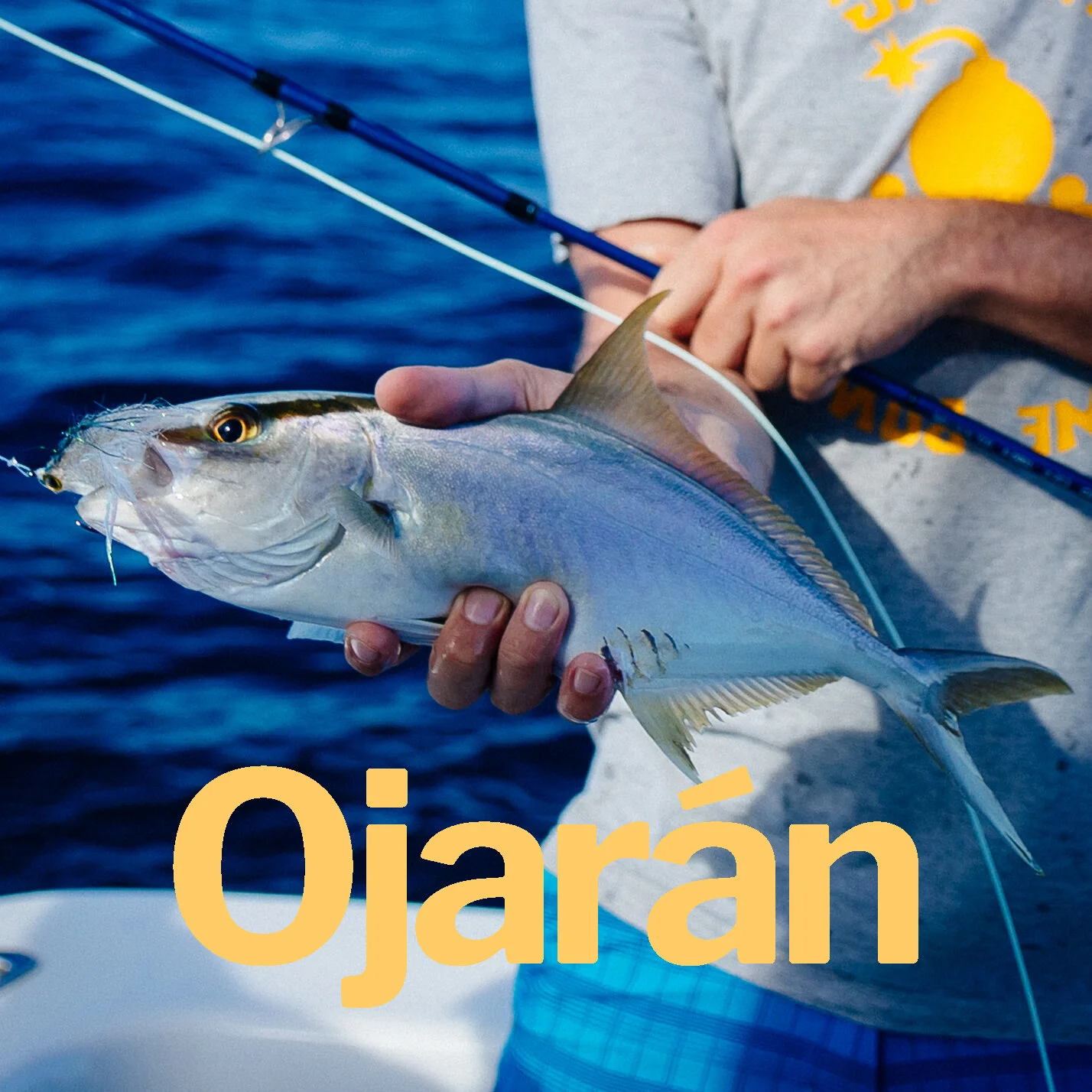 Ojarán.jpg
