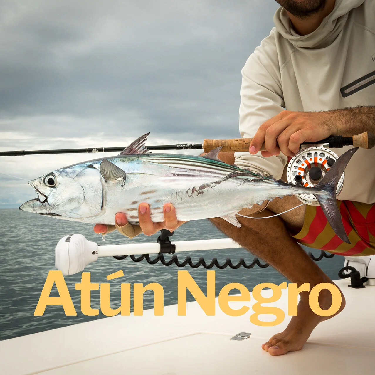 Atún Negro.jpg