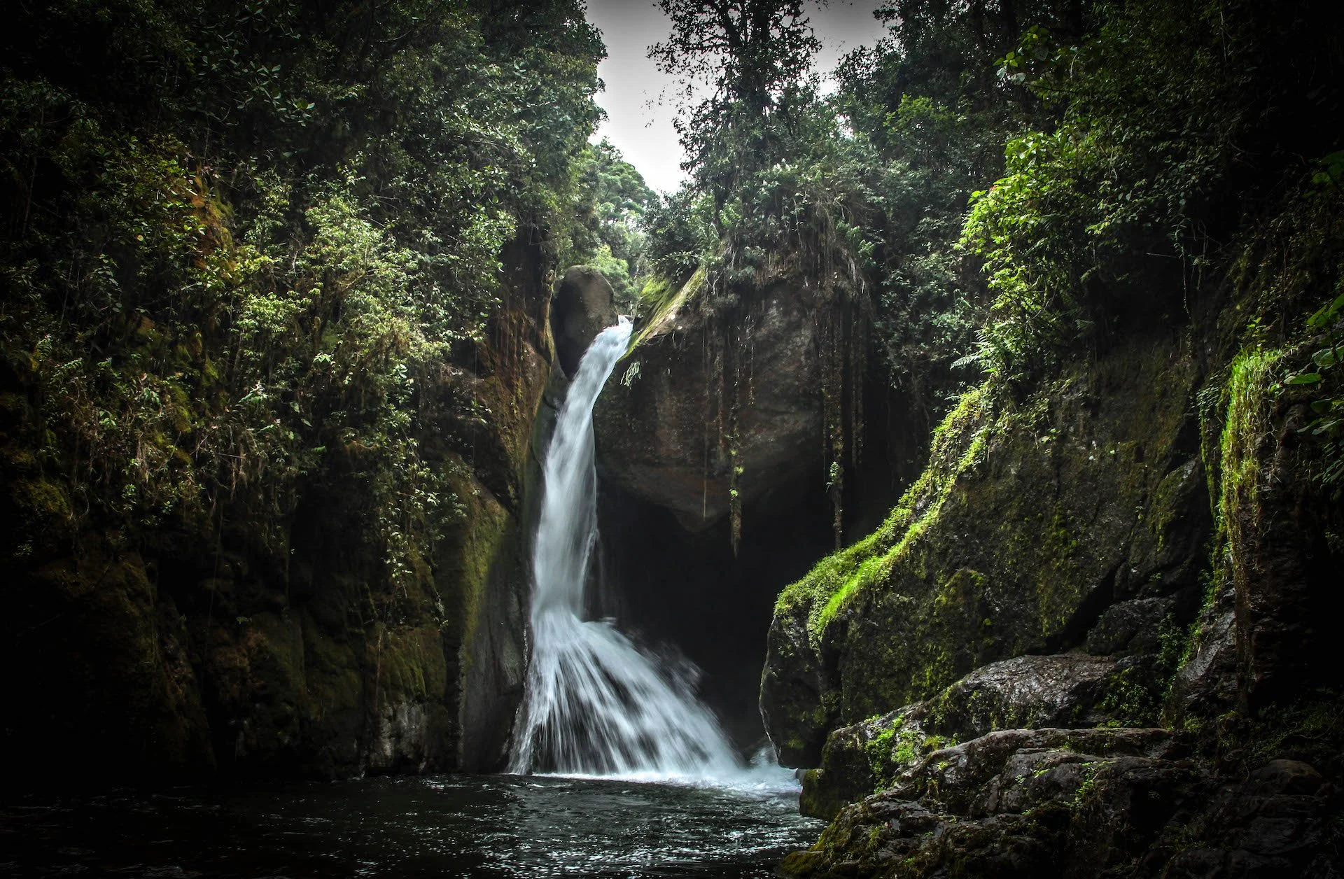 CRAFF BTD SAVEGRE.jpeg