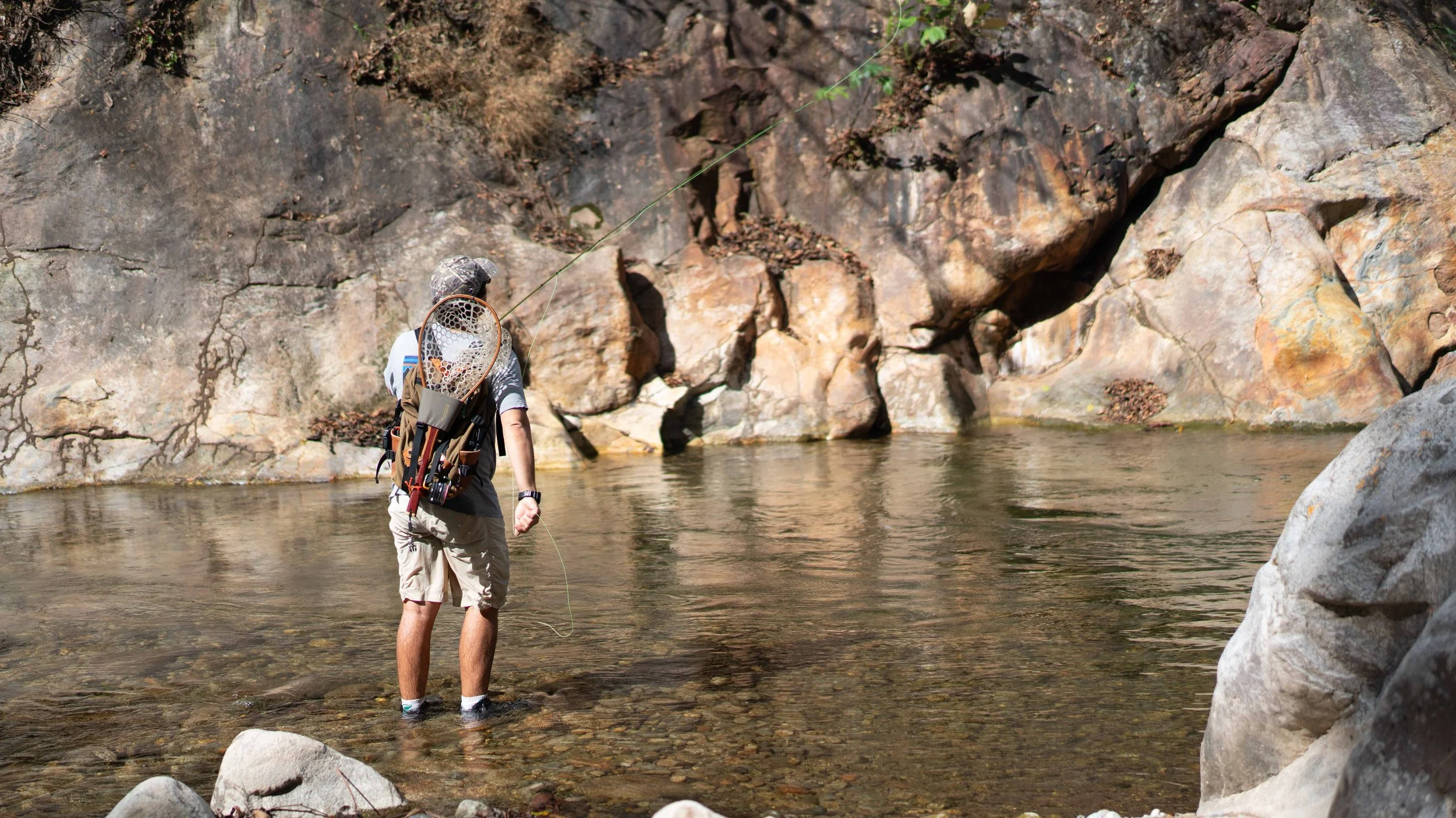 DSC04578.jpg