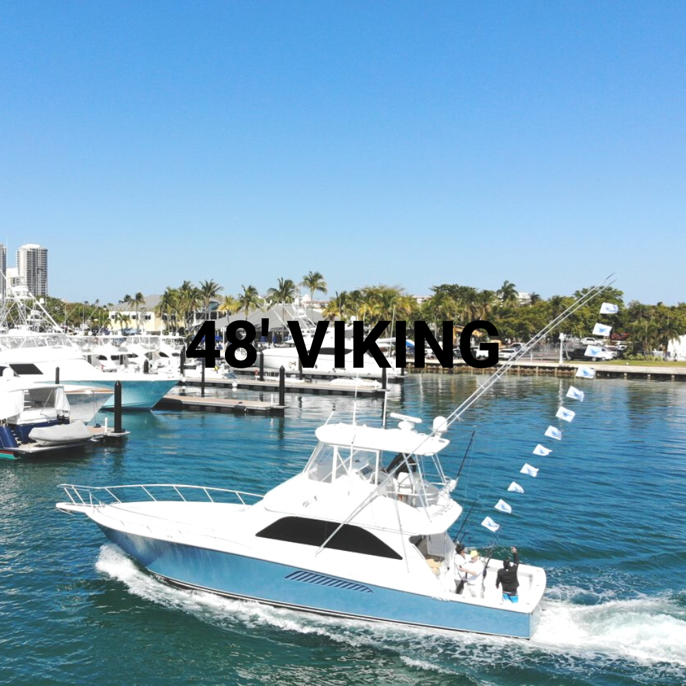 Black Book Charters