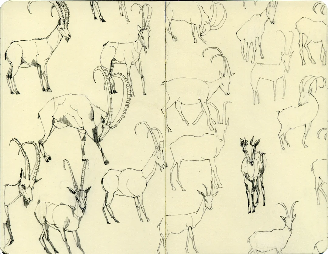sketchbook22.jpg