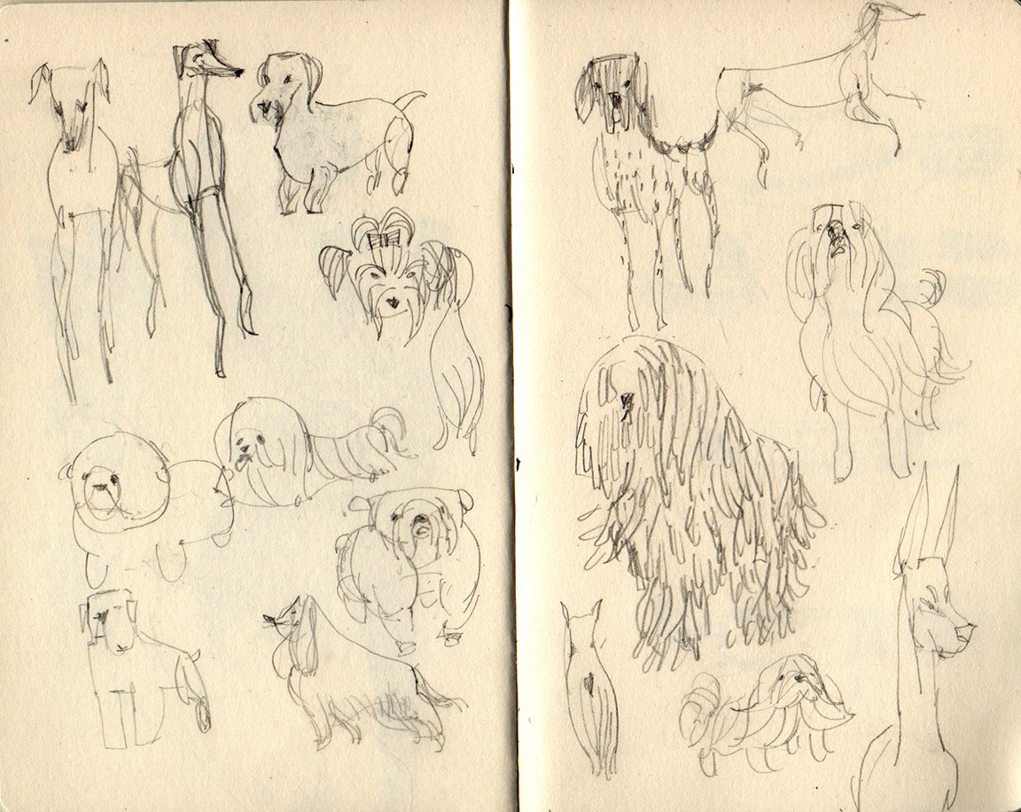  sketching while watching the national dog show, Thanksgiving morning 