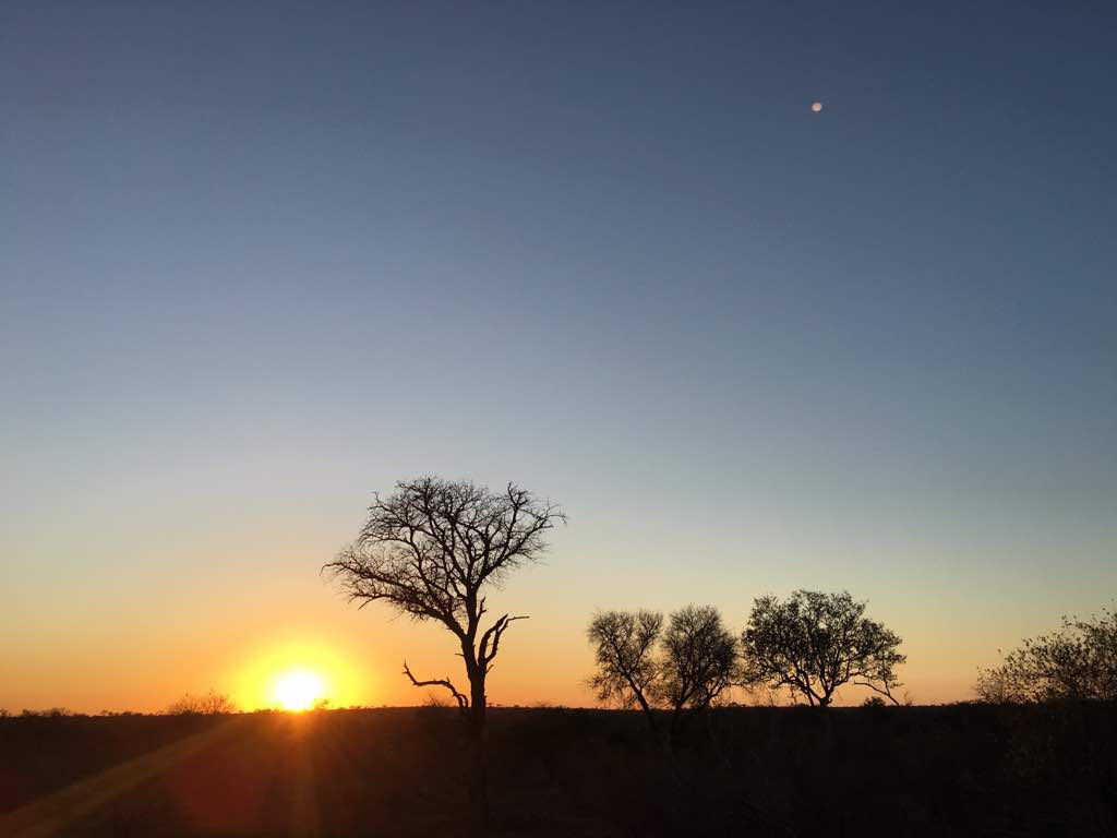 sunrise.jpeg