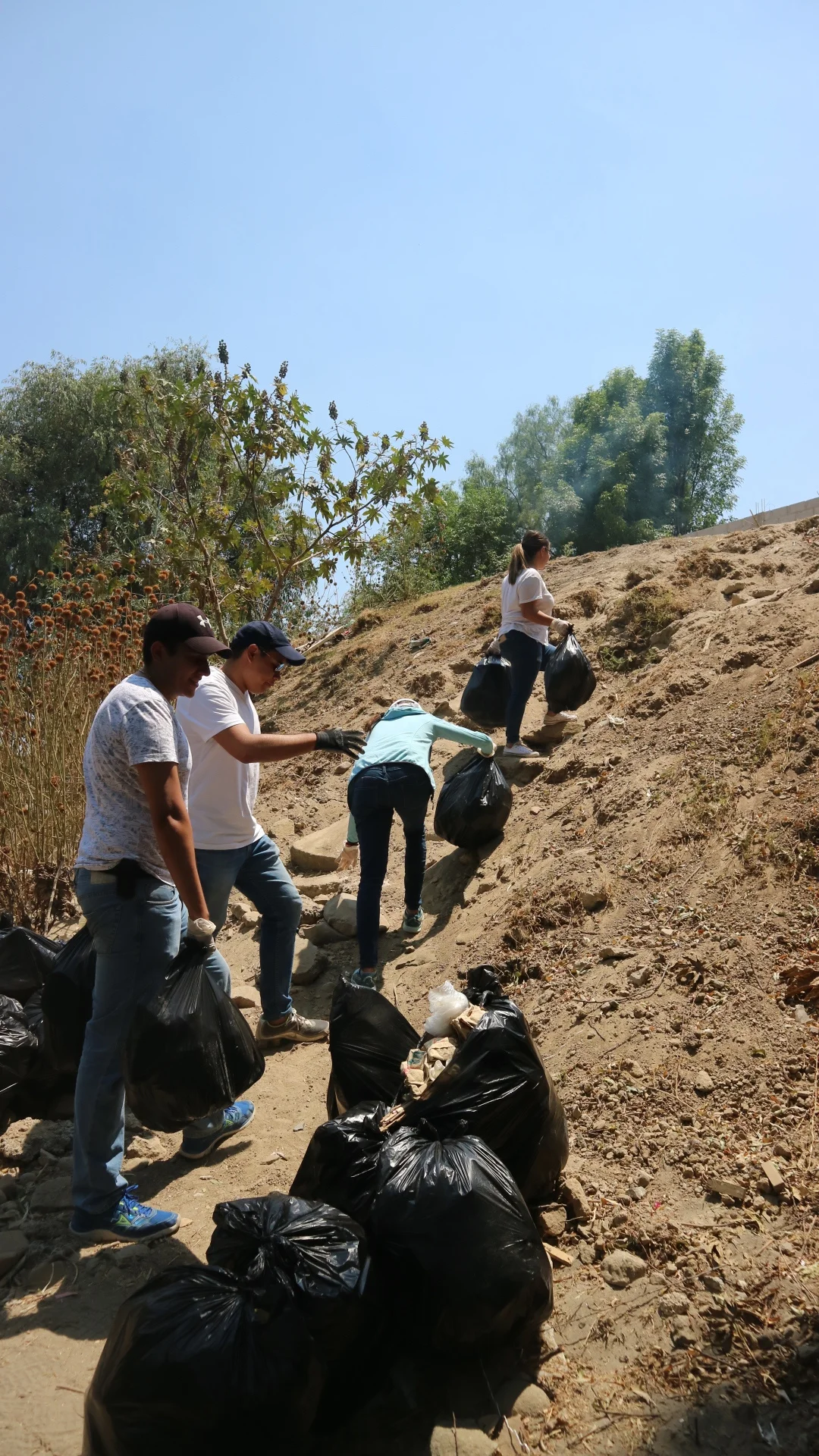 Hicimos el #Trashtagchallenge