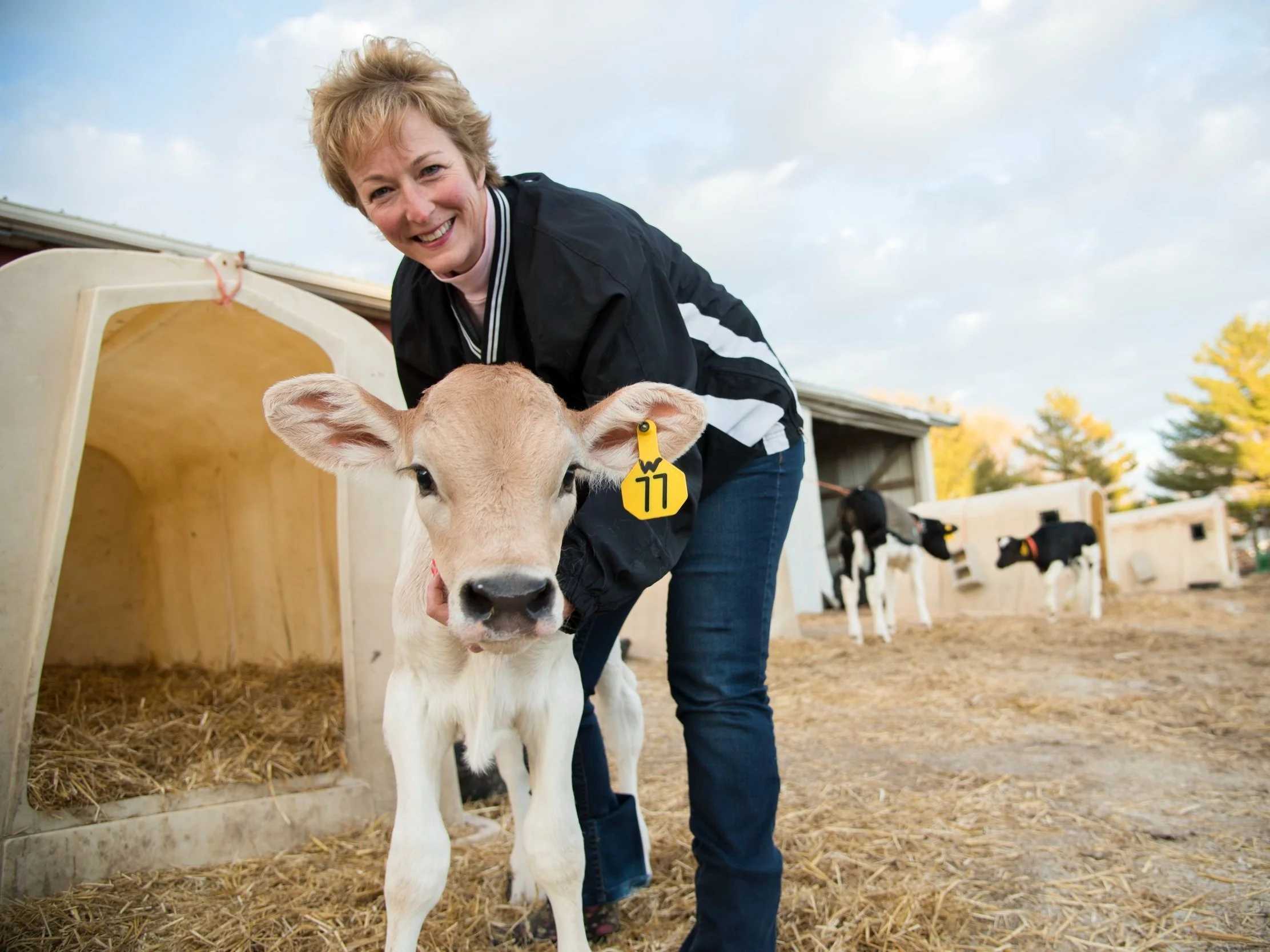 CSAs — Nashville Farmers Market
