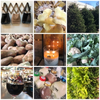 WinterCollage.jpeg
