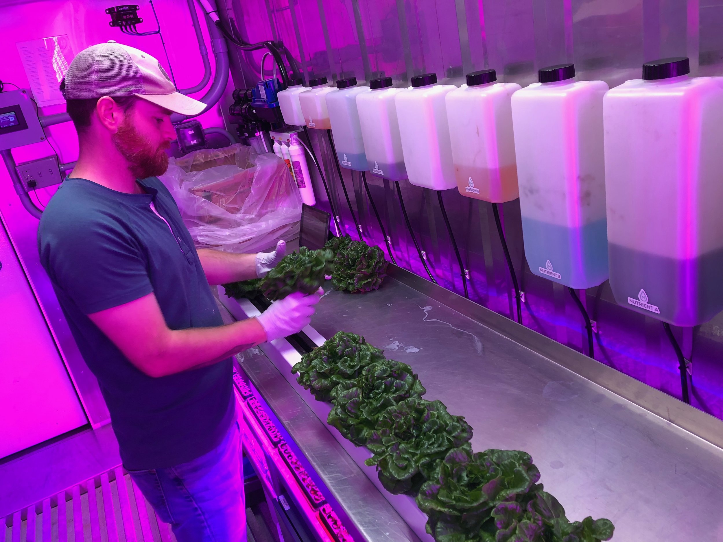 David Goodson works inside the Rally House container farm.