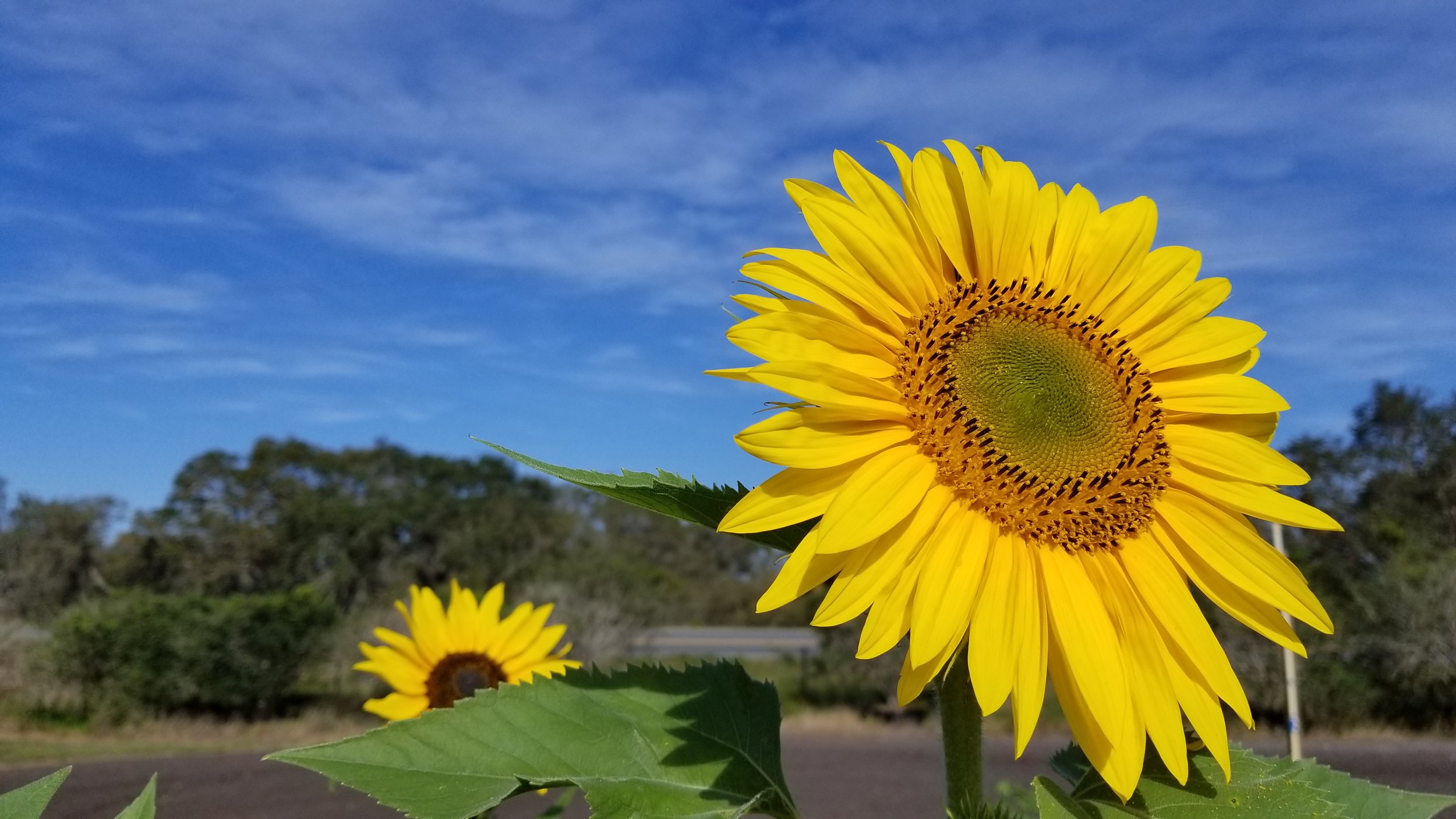 Stanley Pond Adventure Farm in Astatula, Florida