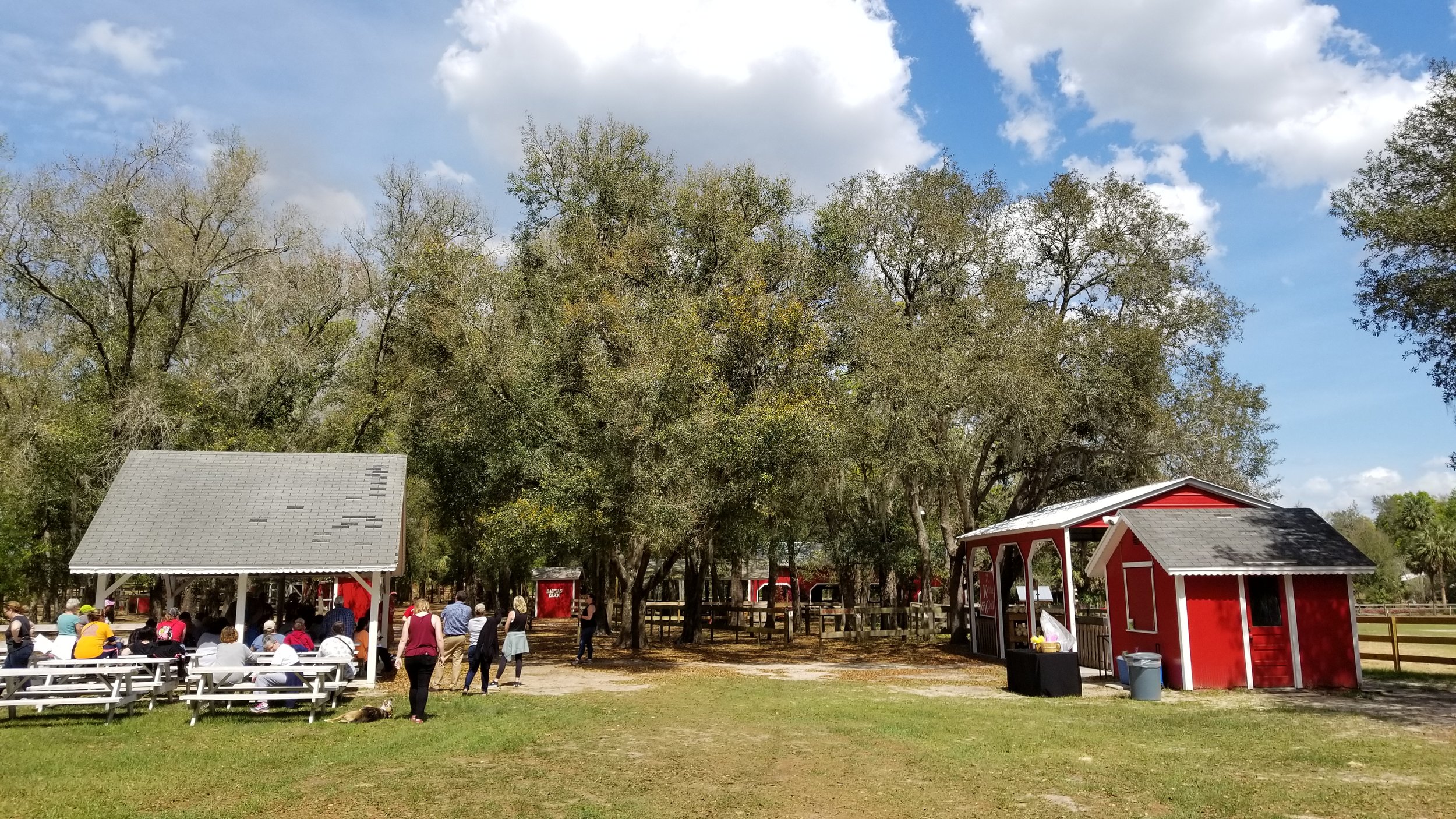 Santa’s Christmas Tree Farm in Eustis, Florida