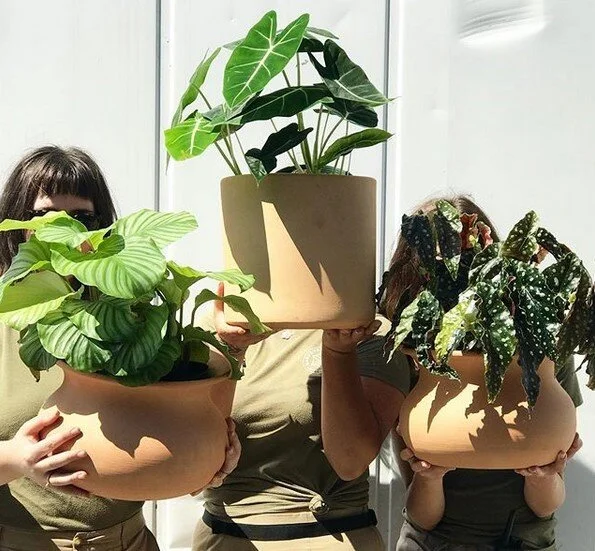 Gardens of Babylon will host its first-ever plant swap as part of Night Market on Friday, October 18, starting at 6 p.m.