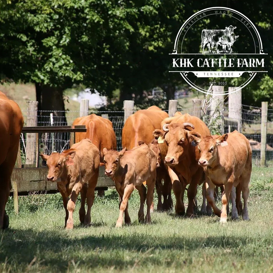 Nashville Farmers Market