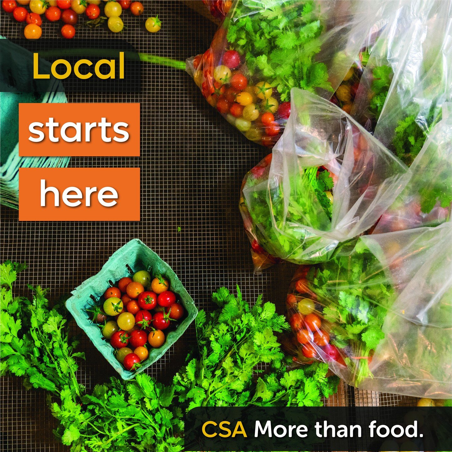 Nashville Farmers Market