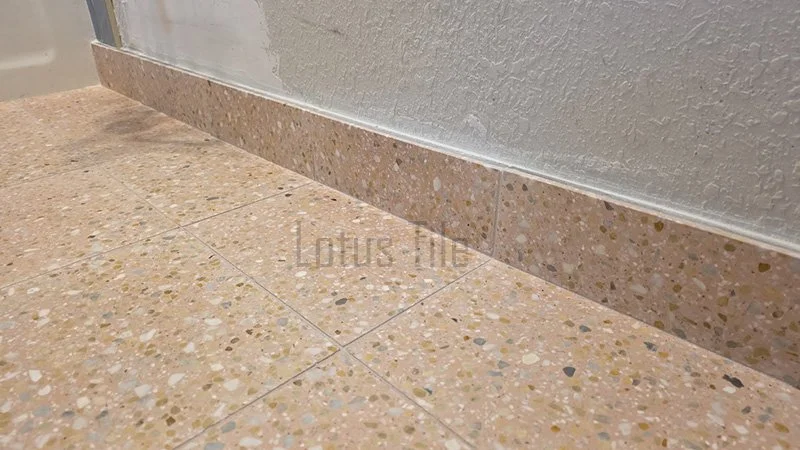 20260210_122005 copy.jpg