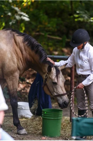 Image 4-7-18 at 3.24 PM.JPG